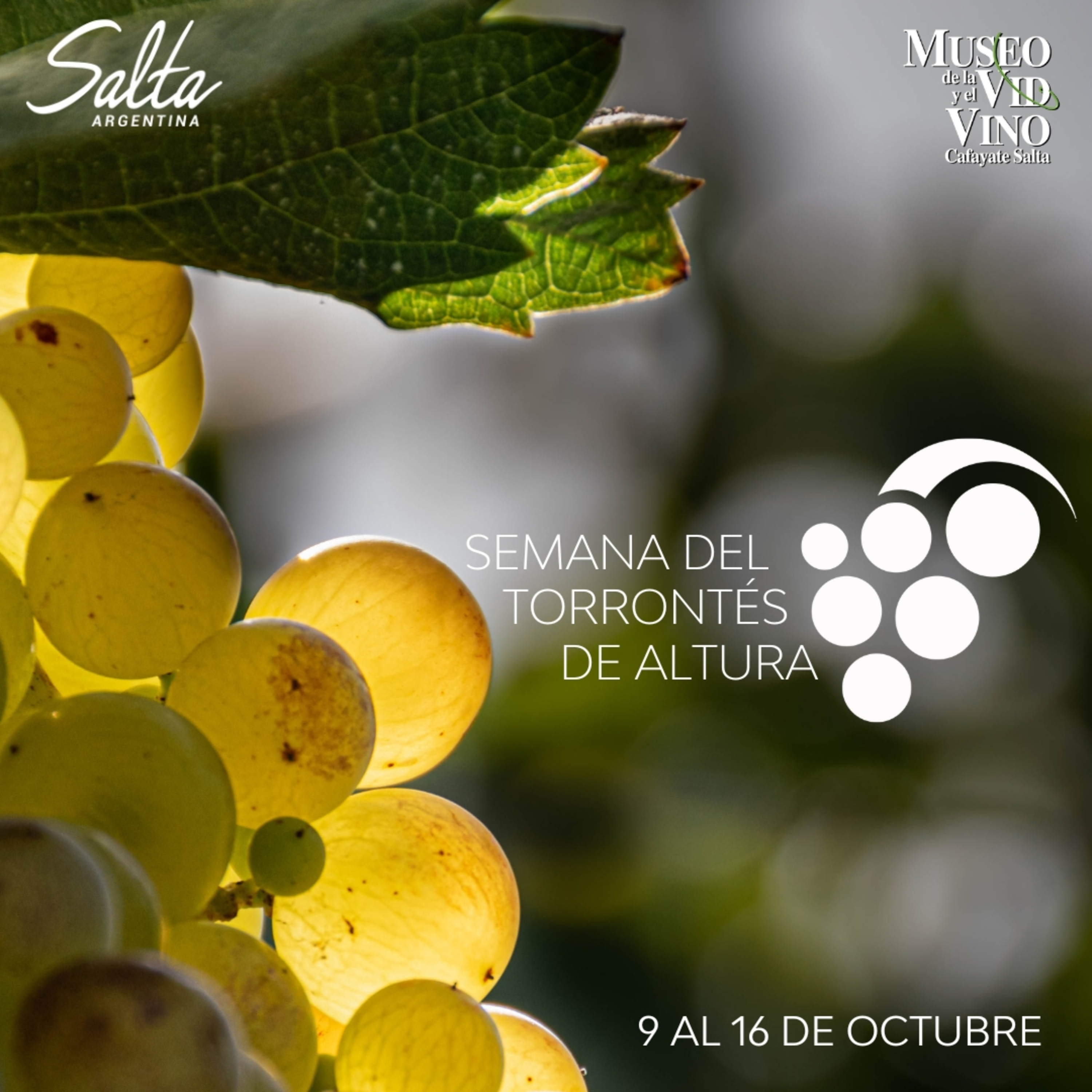 SEMANA DEL TORRONTÉS DE ALTURA y otras Noticias episode artwork