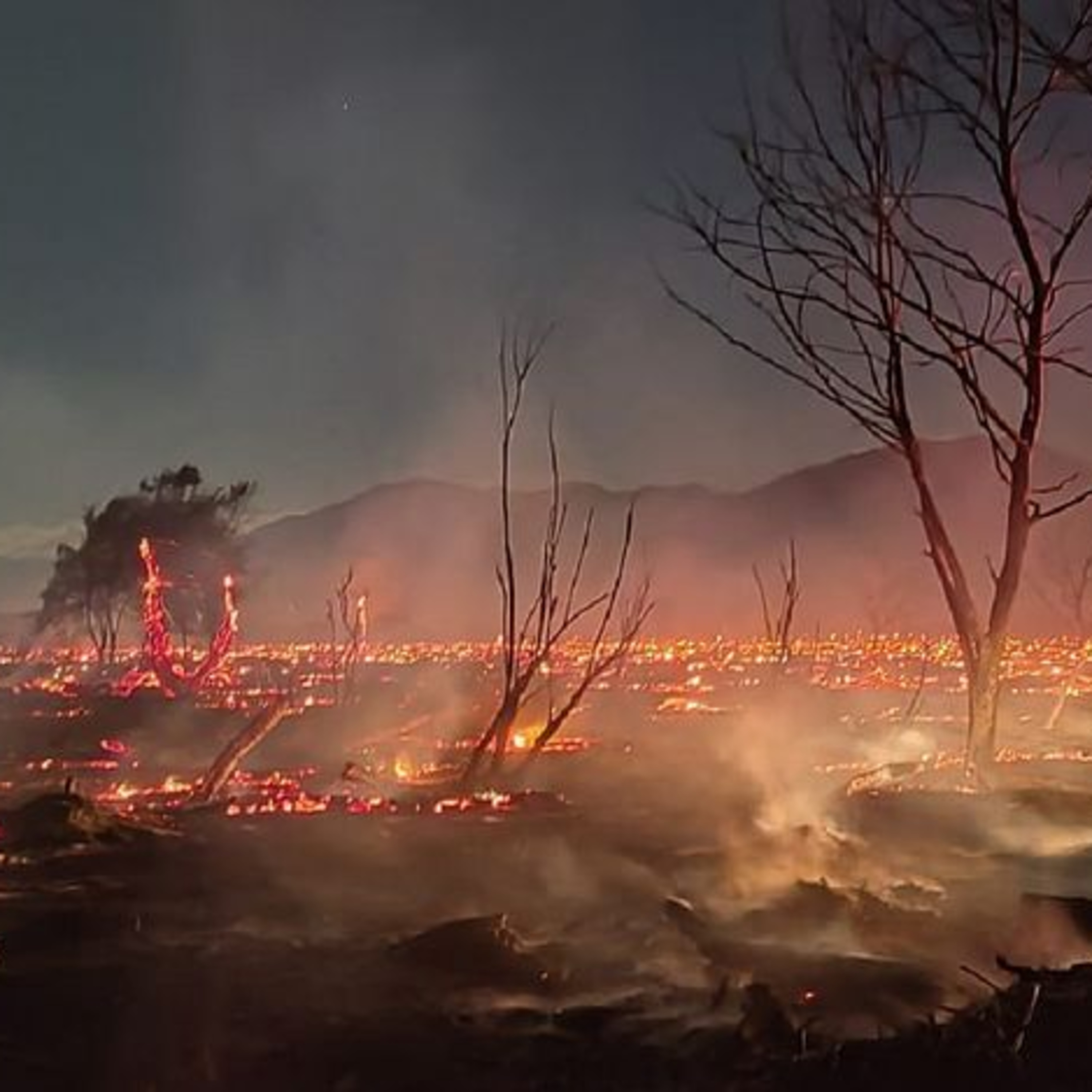 INCENDIOS EN CAFAYATE Y MENDOZA (Octubre de 2023) episode artwork