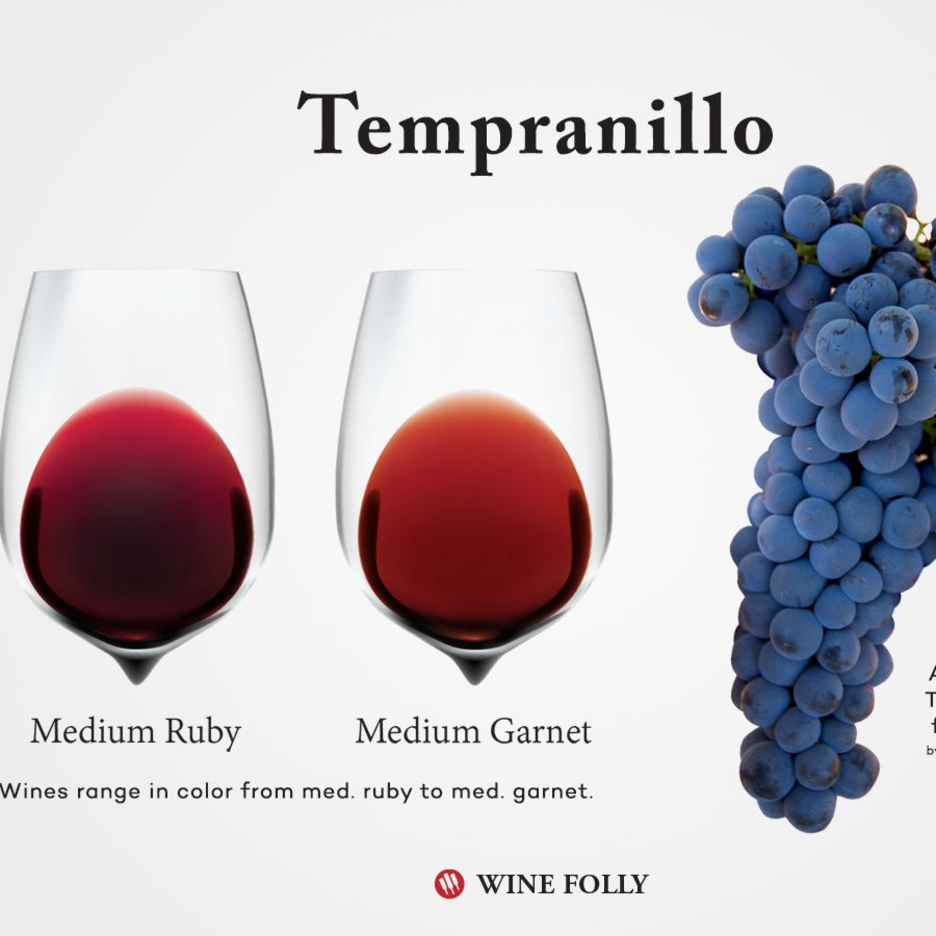 DIA INTERNACIONAL DEL TEMPRANILLO 2023  episode artwork