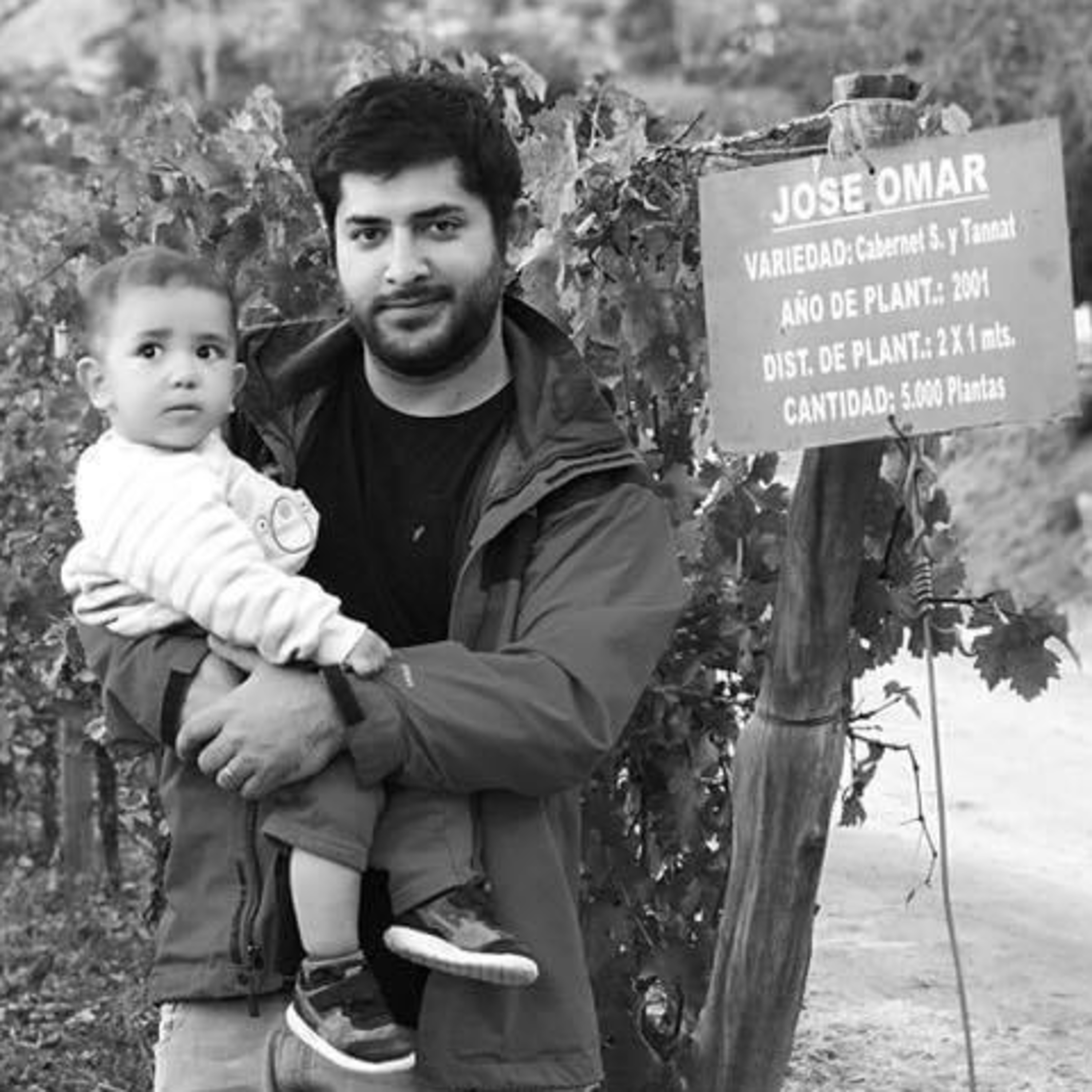 TOPE DE GAMA - Vinos en Radio
