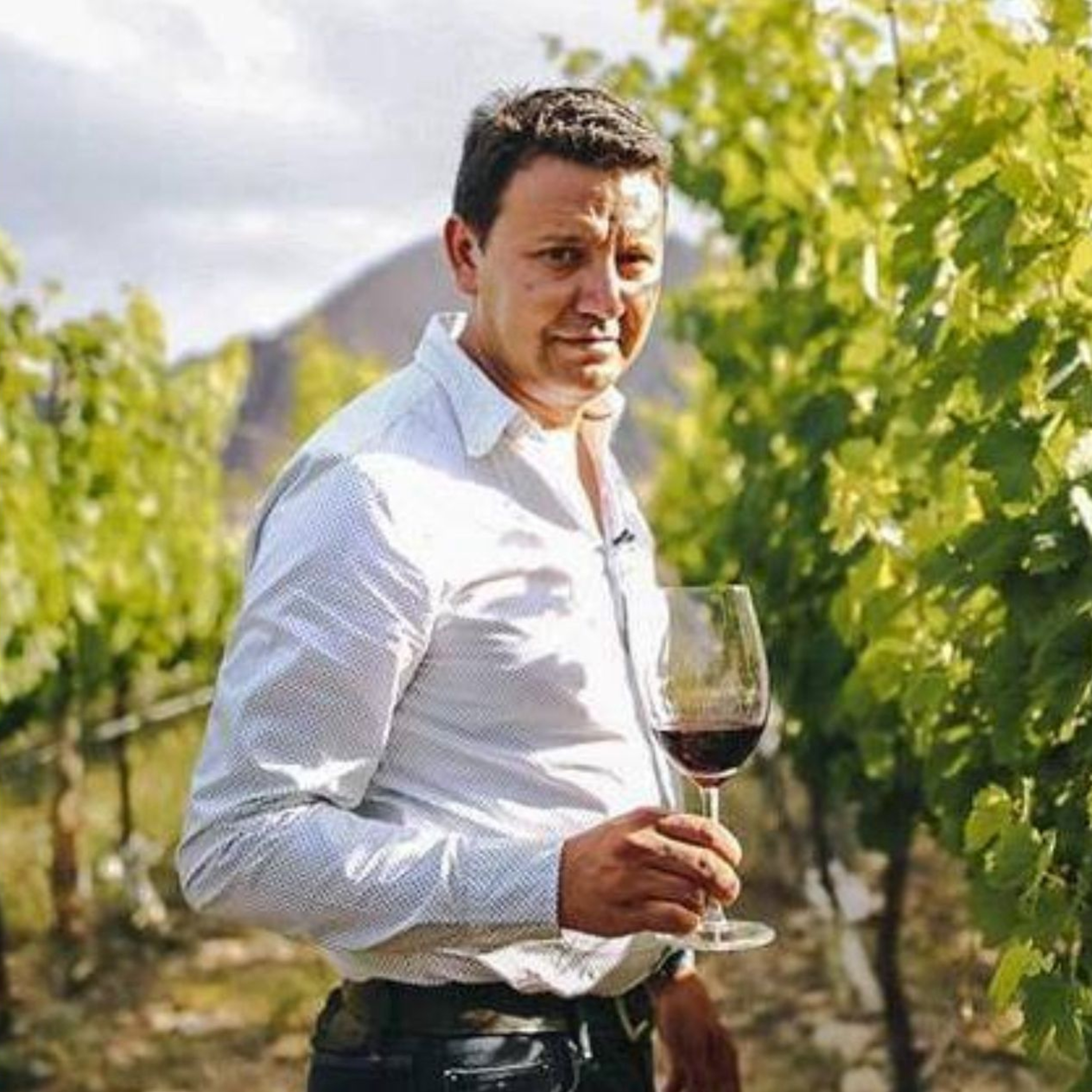 TOPE DE GAMA - Vinos en Radio