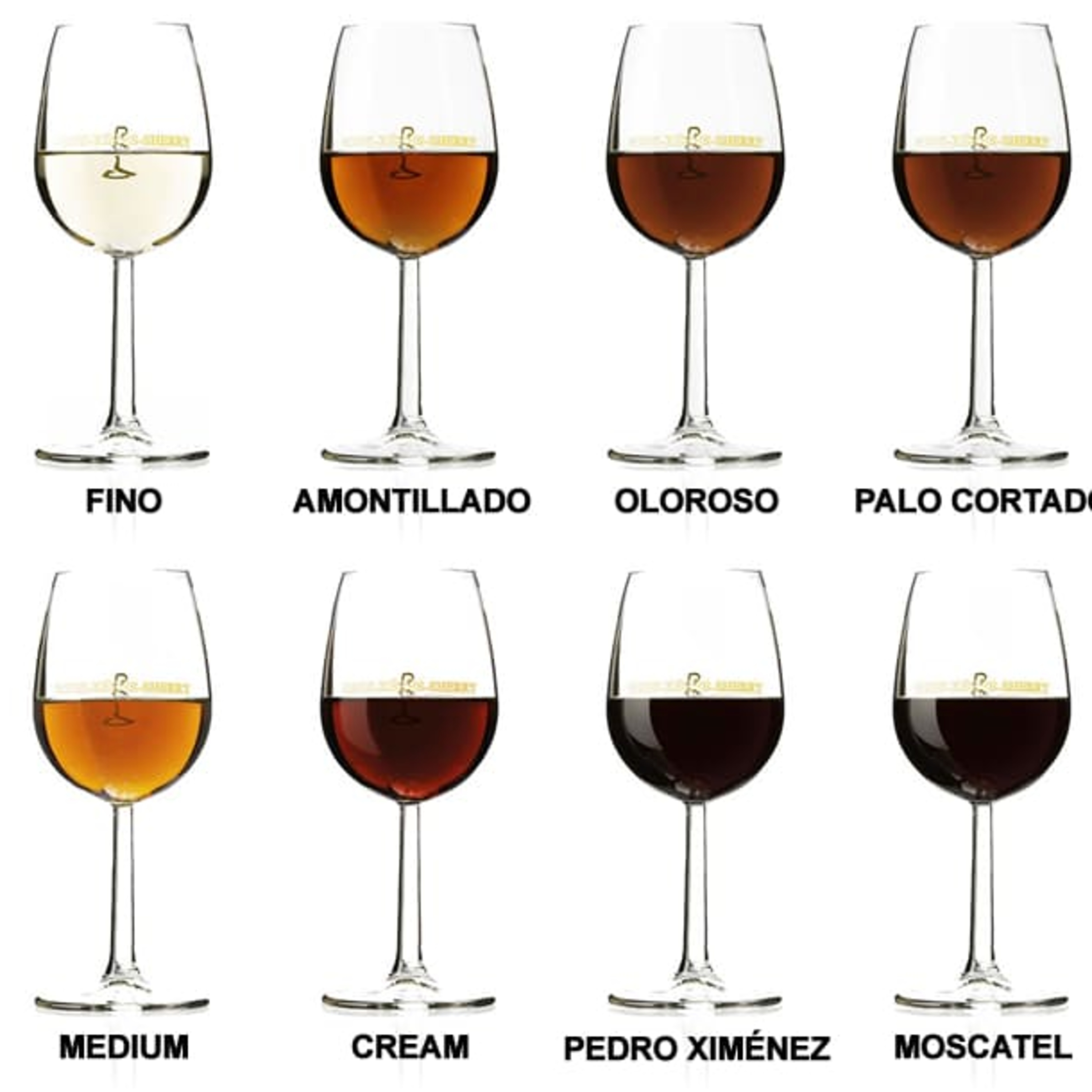 VINOS DE JEREZ, OPORTO y GENEROSOS episode artwork