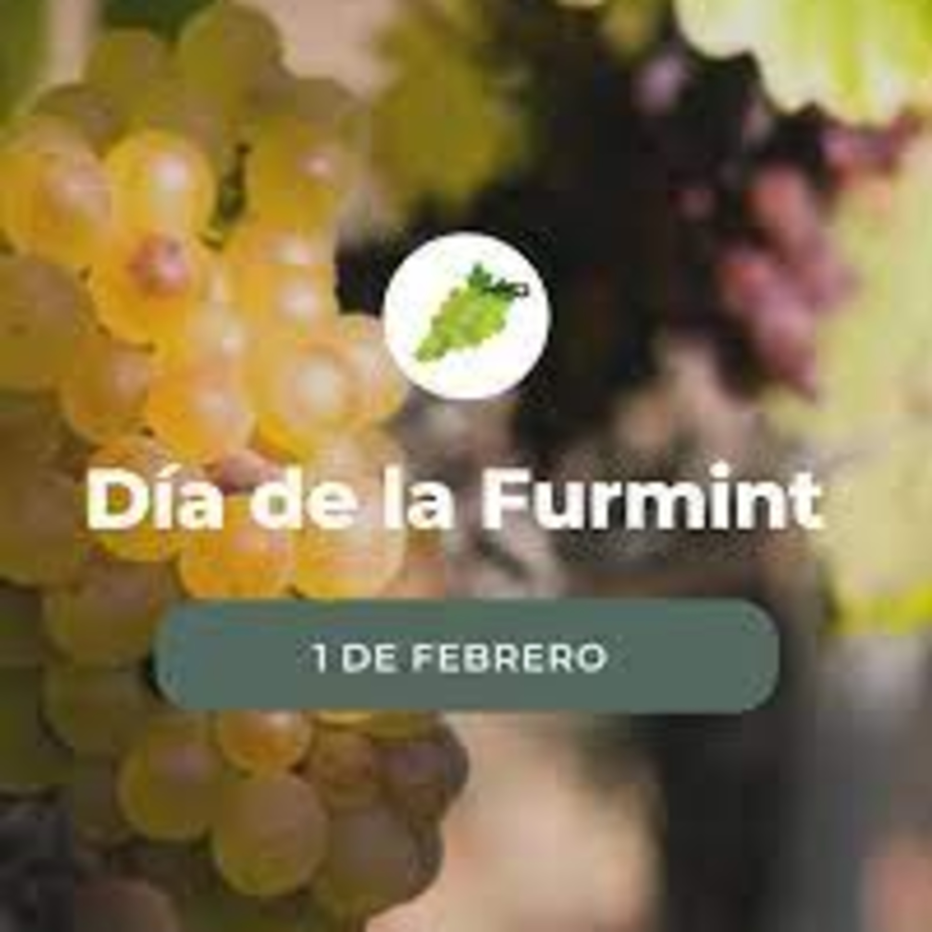 Del Día del FURMINT y CESANESE y SAUVIGNONAISSE en CAFAYATE episode artwork