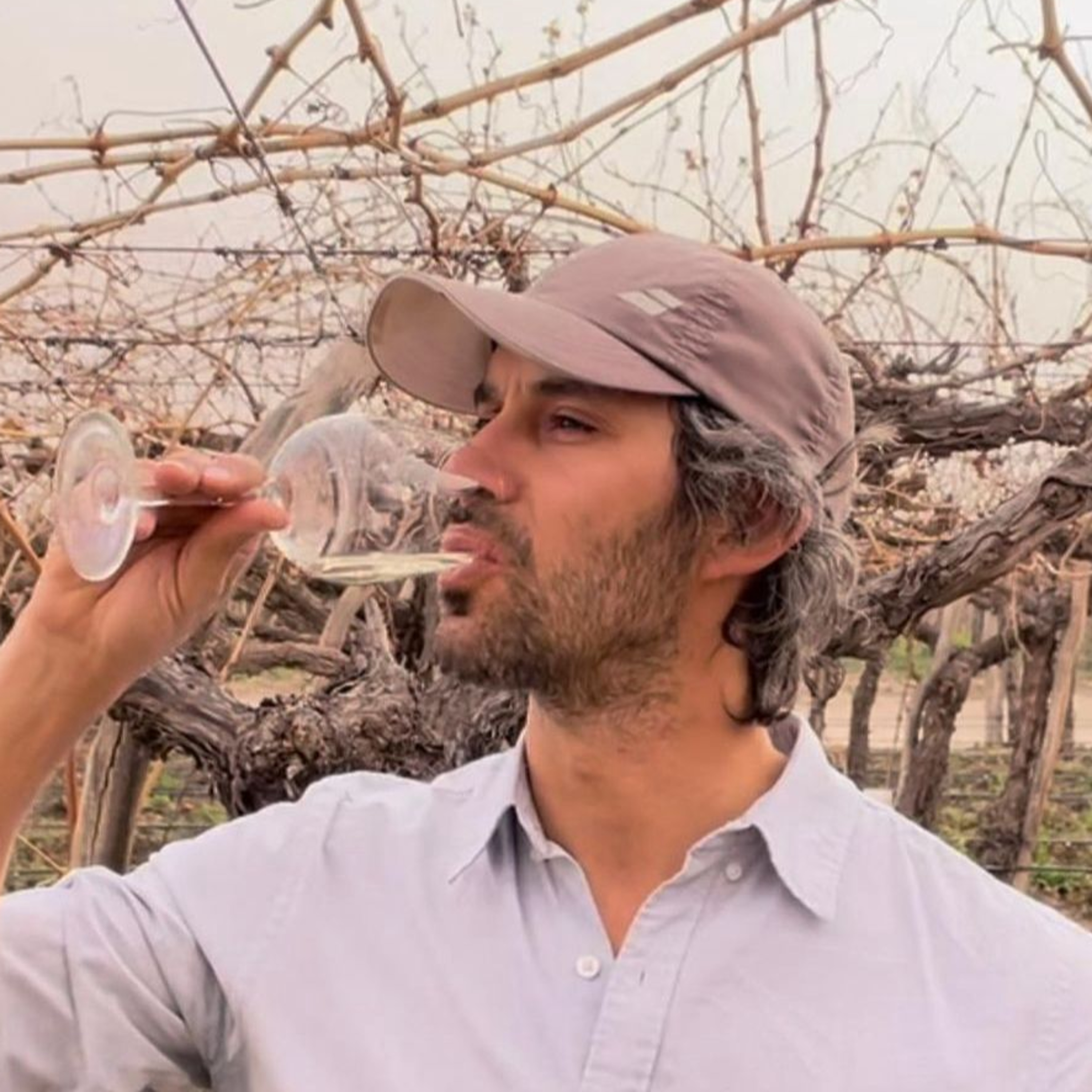DANIEL GUILLÉN - EL VITICULTOR y PILOTO DE PRUEBA WINES episode artwork
