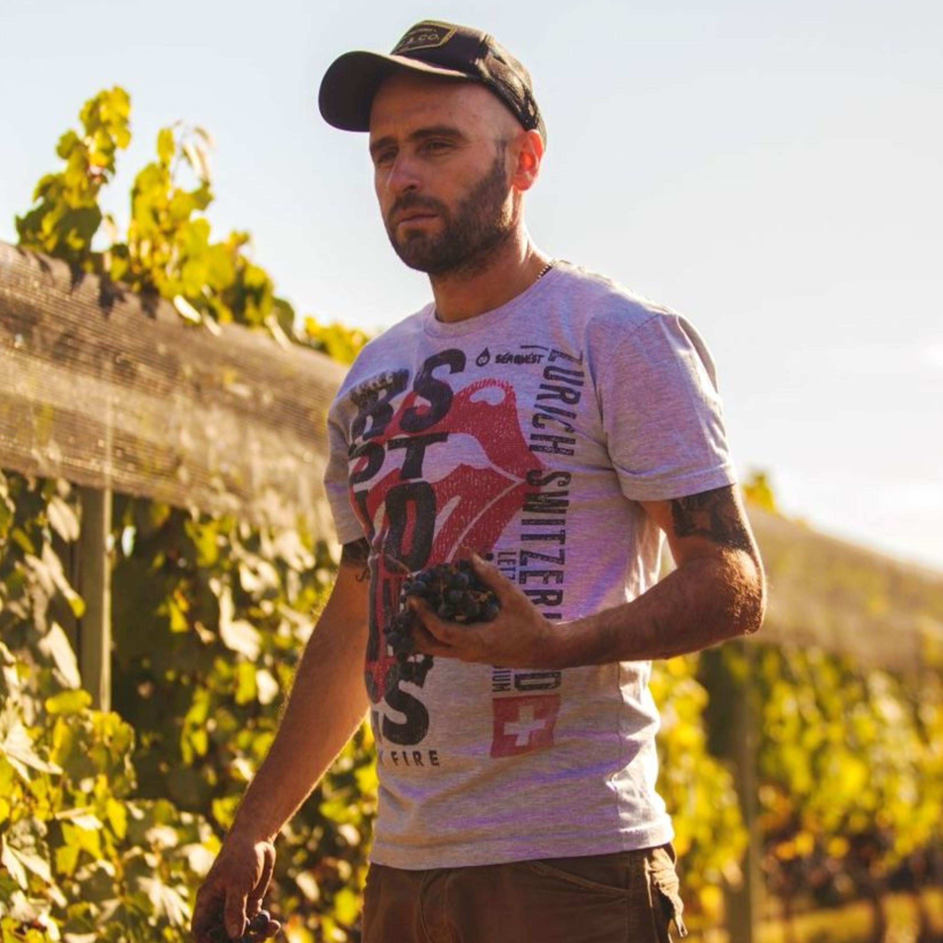 TOPE DE GAMA - Vinos en Radio
