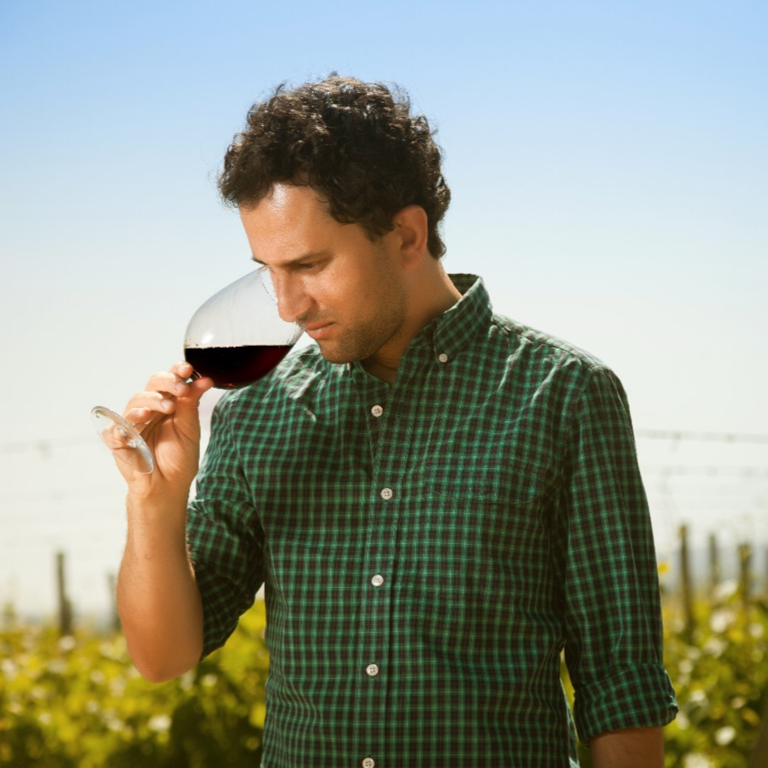 TOPE DE GAMA - Vinos en Radio