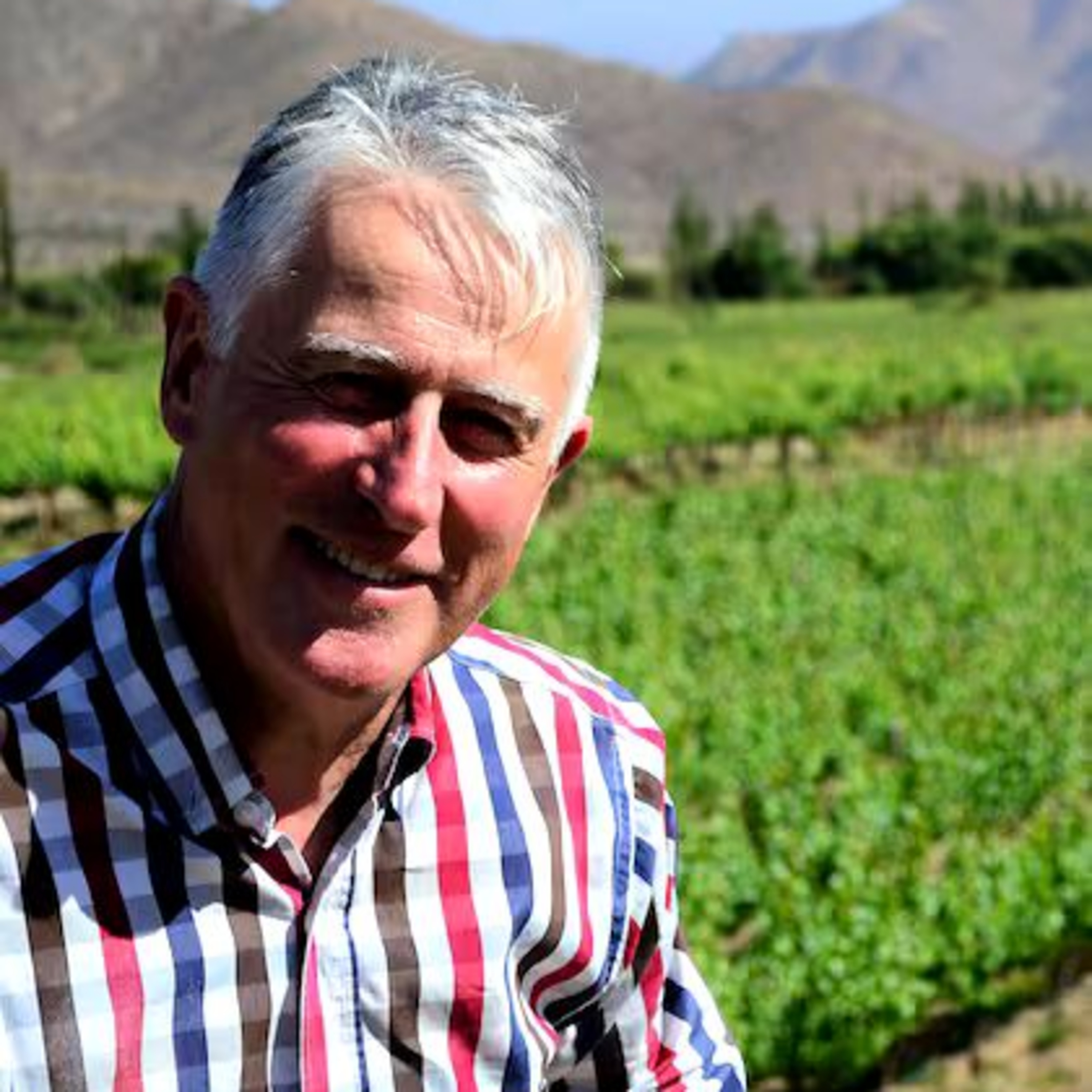 TOPE DE GAMA - Vinos en Radio