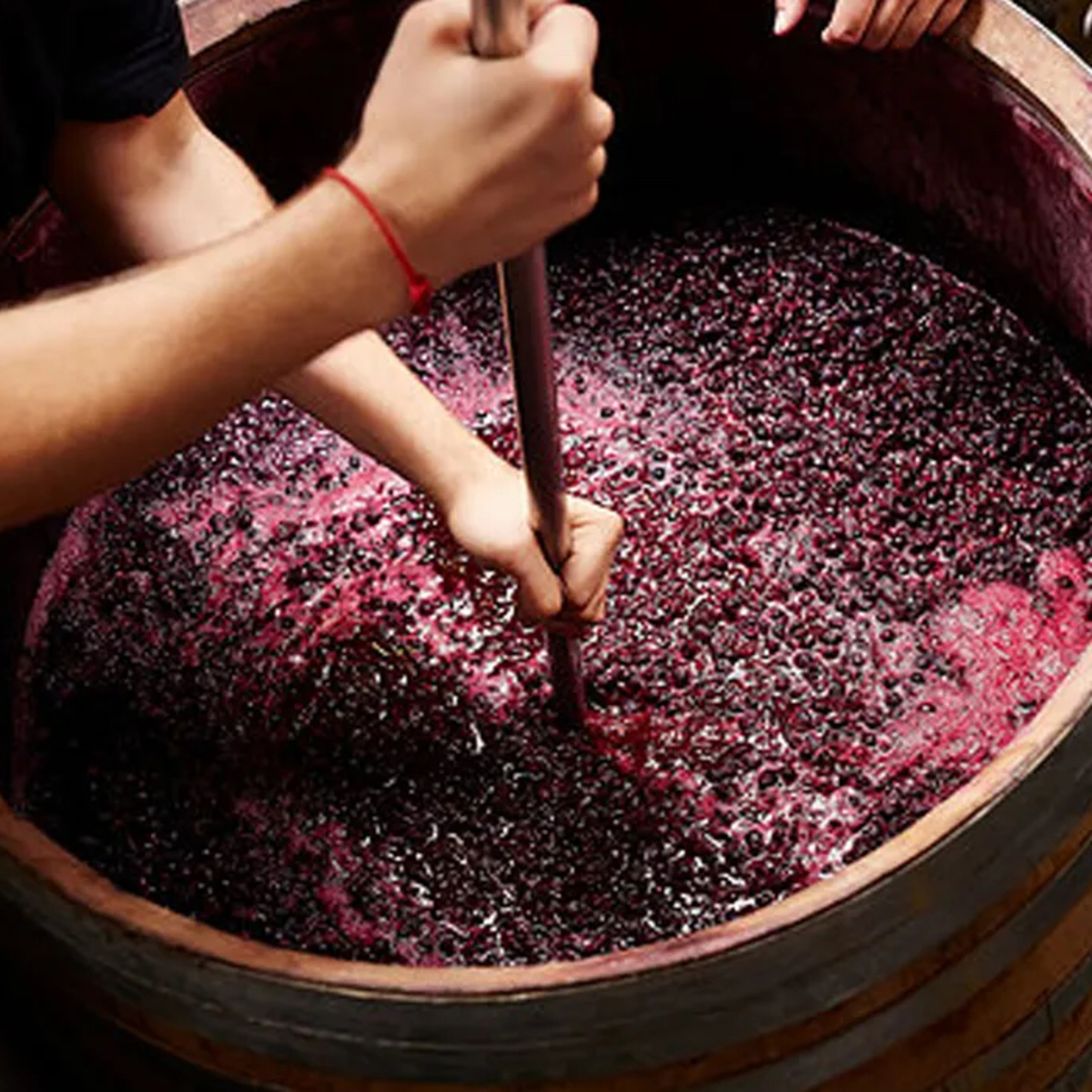 QUÉ ES EL SOMBRERO, VINOS PREMIADOS y LA BRUSCA CAÍDA DEL CONSUMO DEL VINO.  episode artwork