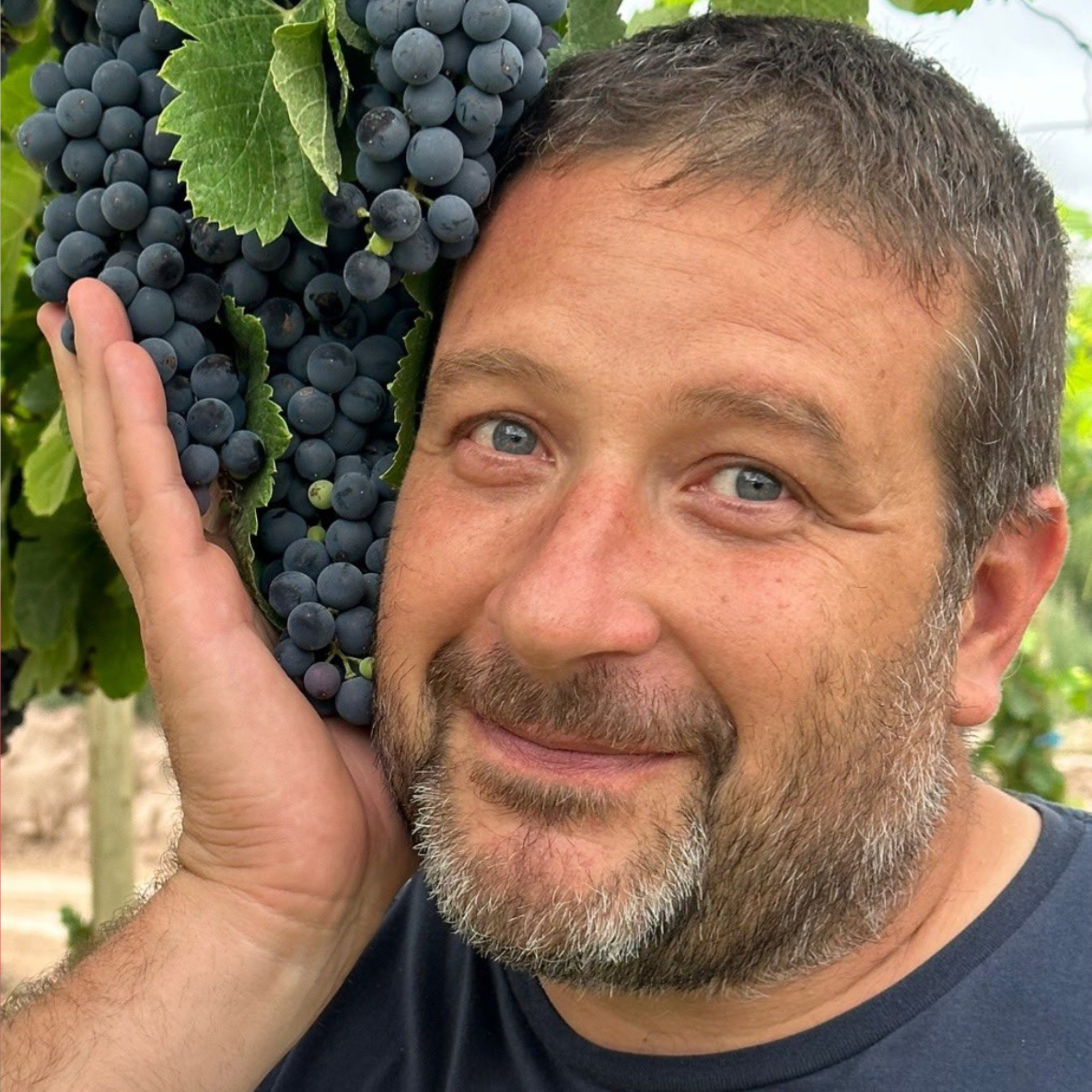 TOPE DE GAMA - Vinos en Radio