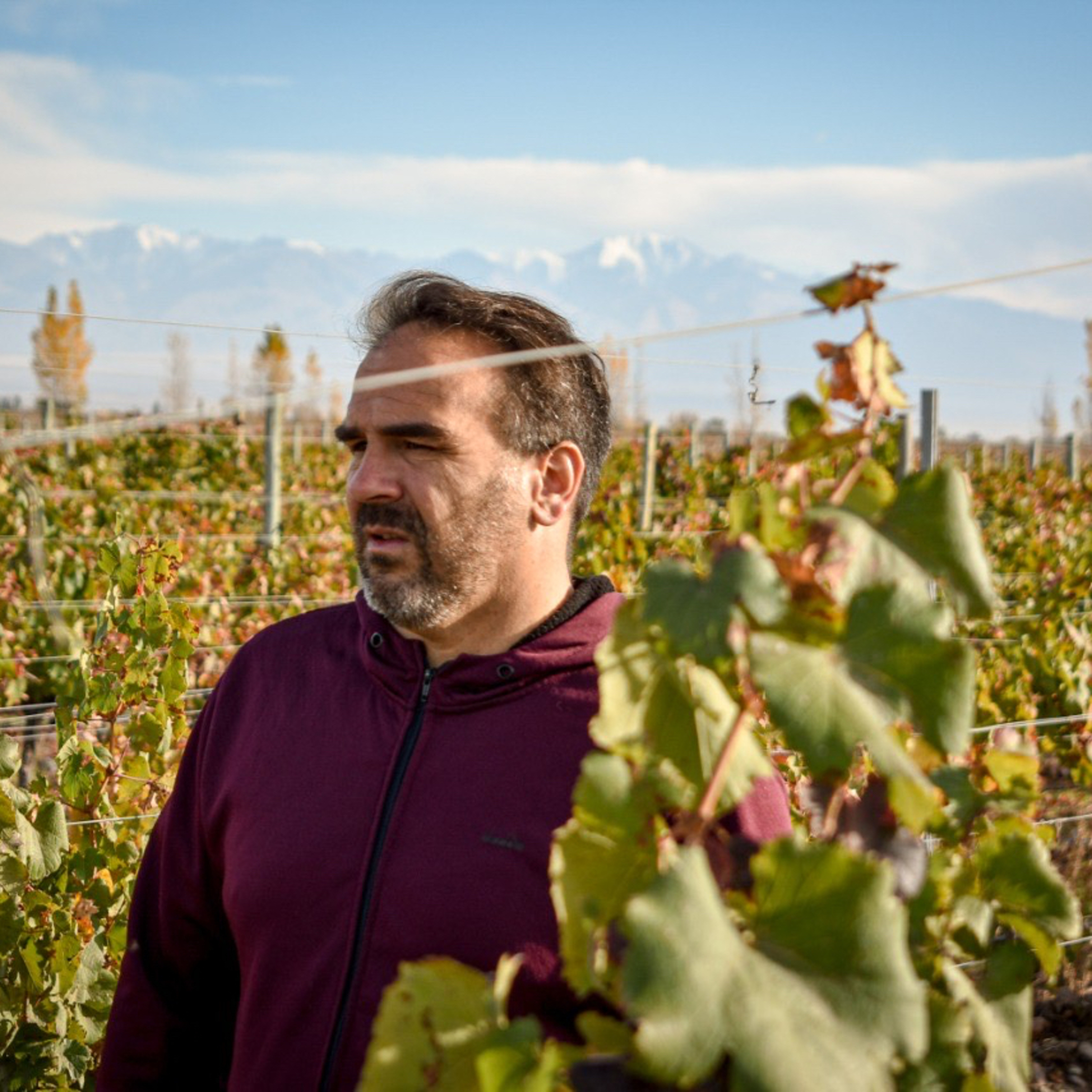 BERNARDO BOSSI BONILLA - BERNA VINOS, HOMO FELIX y JULIÁN CABALLIN WINES episode artwork