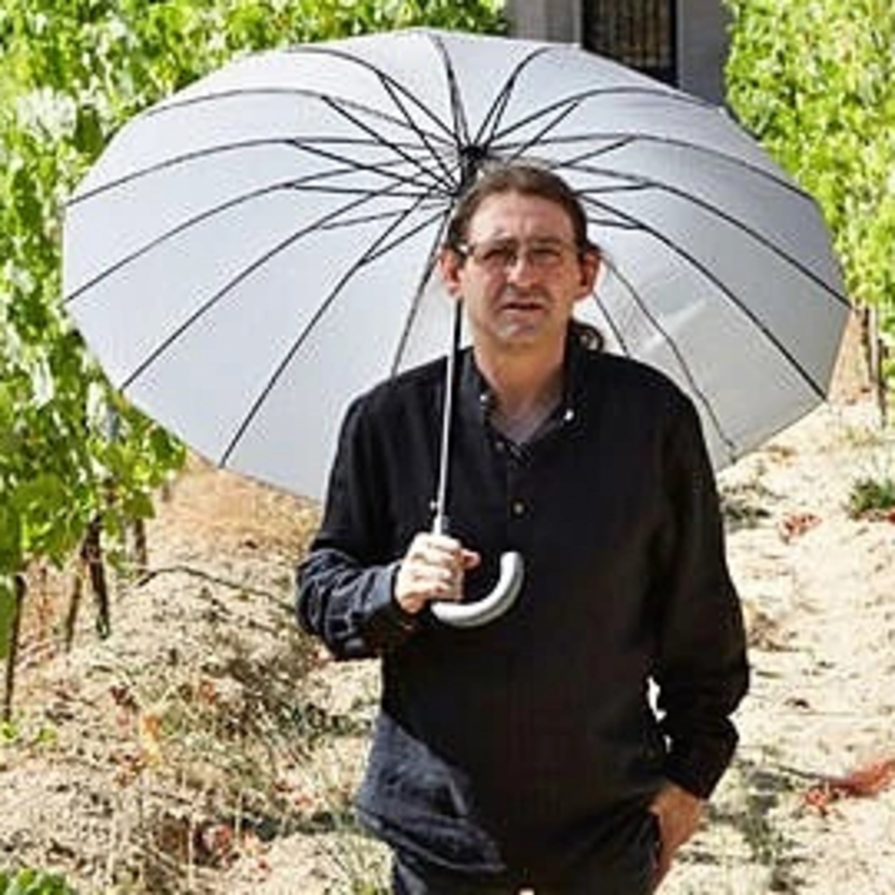 FELICISIMO PEREIRA - BODEGA EL PARAGUAS (DO RIBEIRO, GALICIA, ESPAÑA) episode artwork