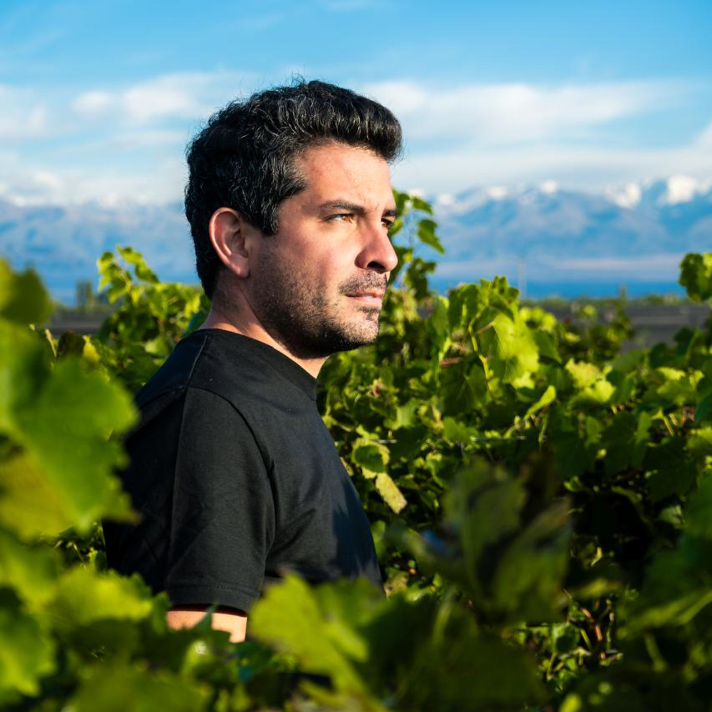 JUAN IGNACIO ARNULPHI - CANTEROS WINES episode artwork