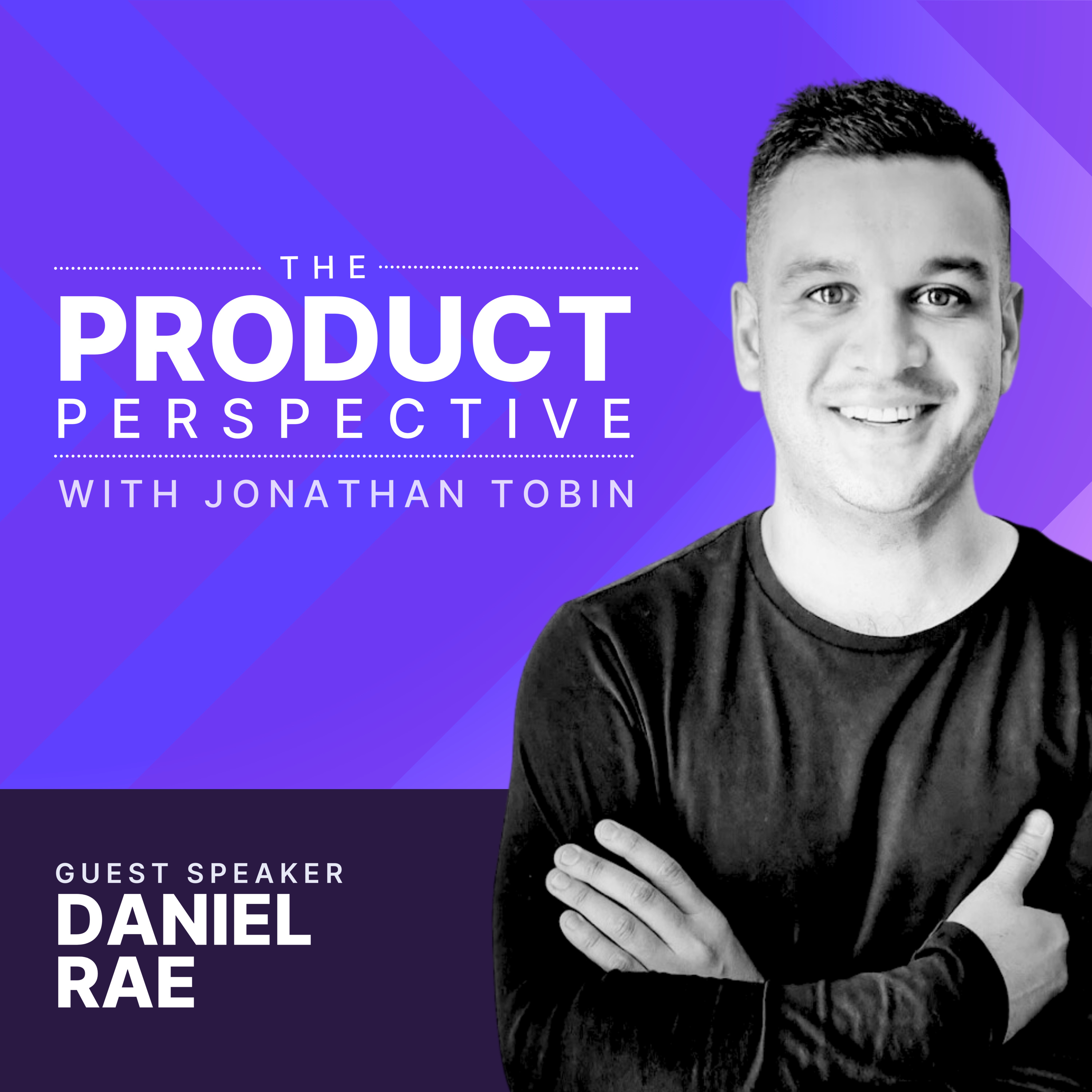 The Product Perspective
