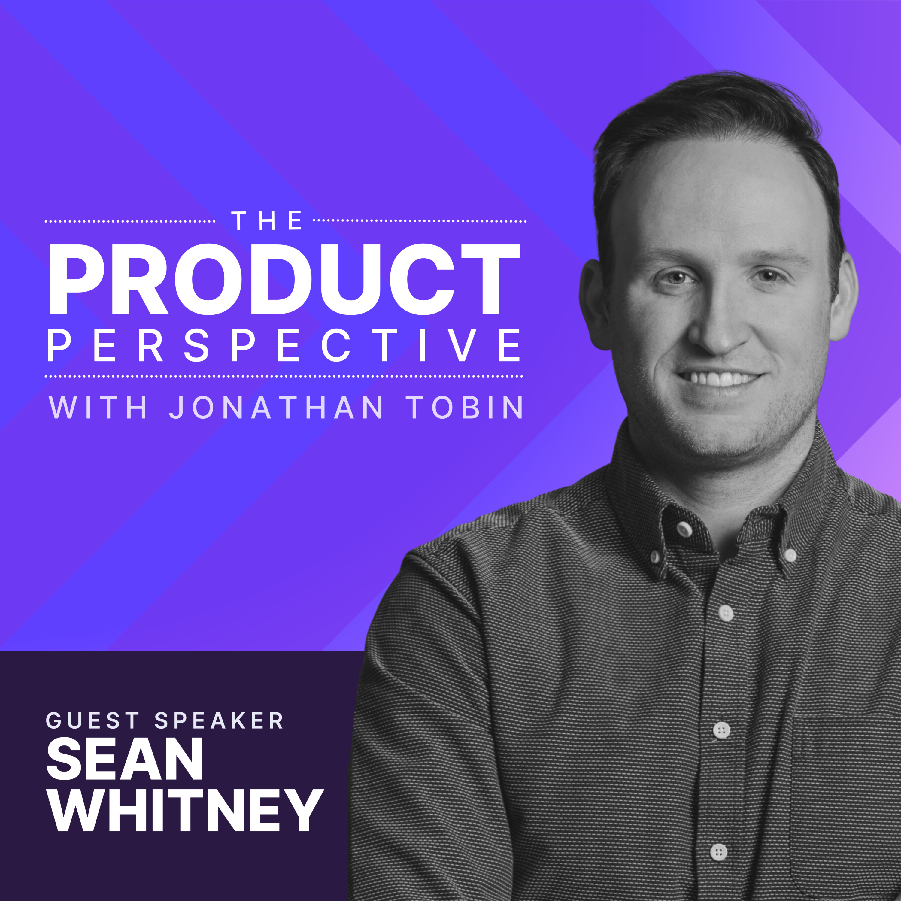 The Product Perspective
