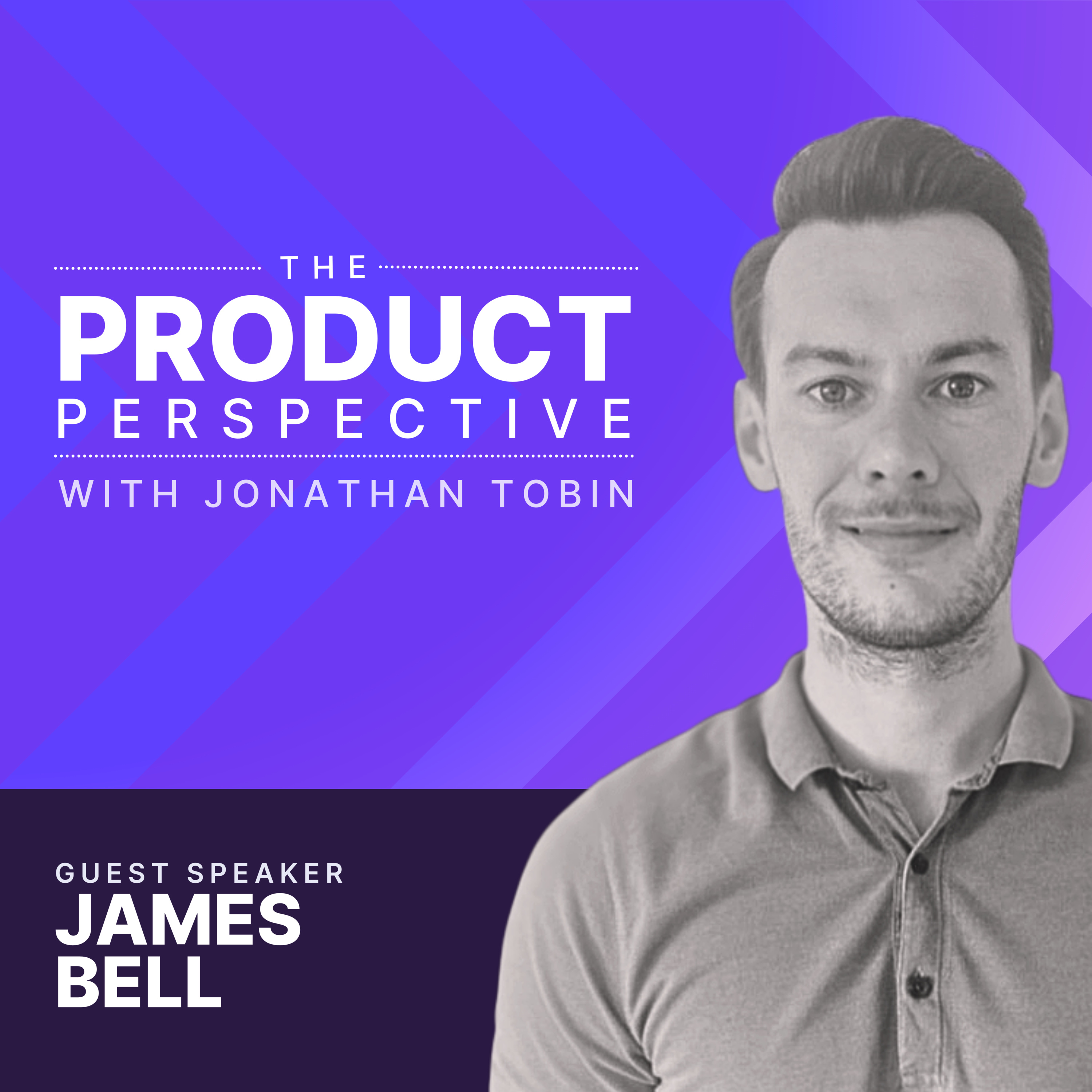 The Product Perspective