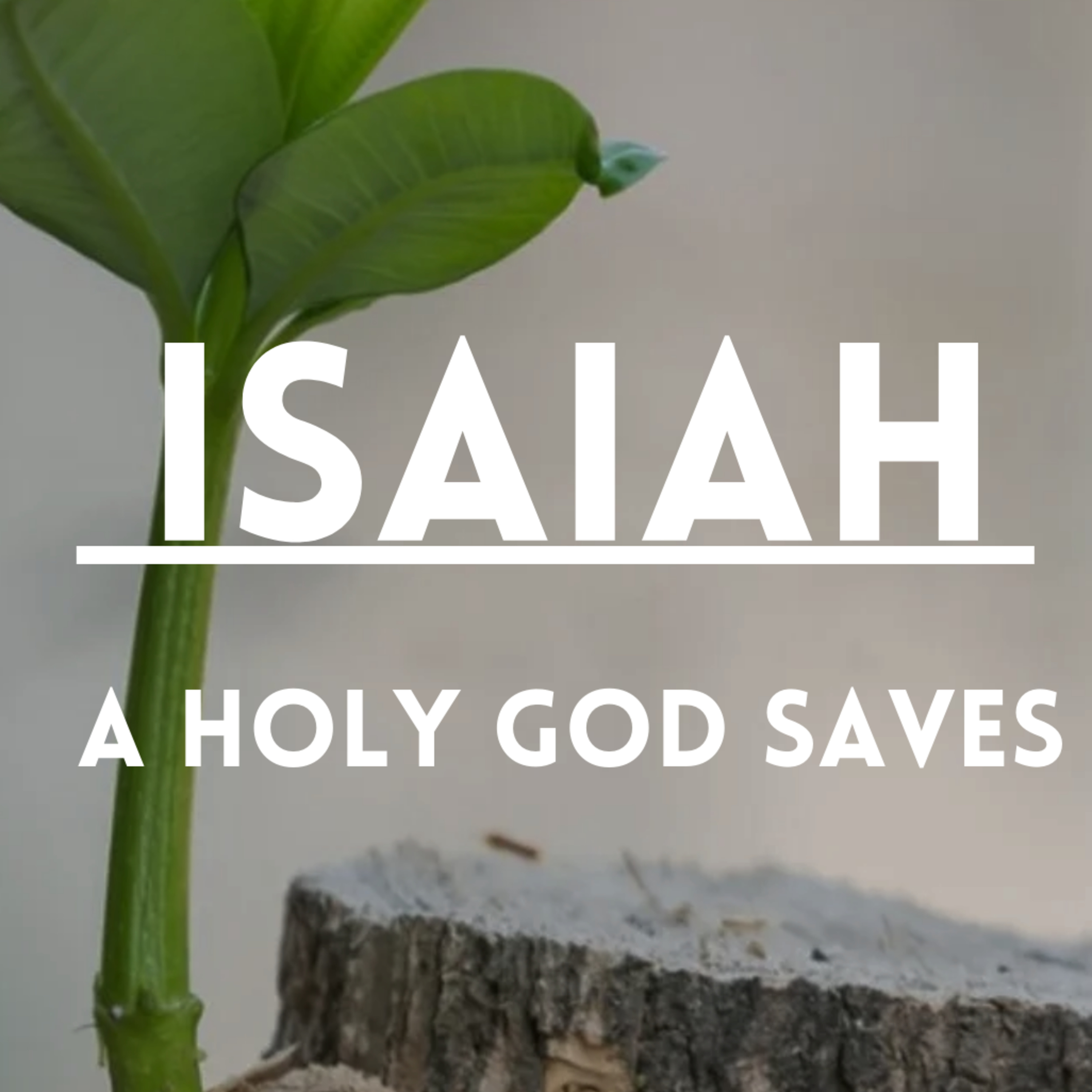 Isaiah 54&55 episode artwork