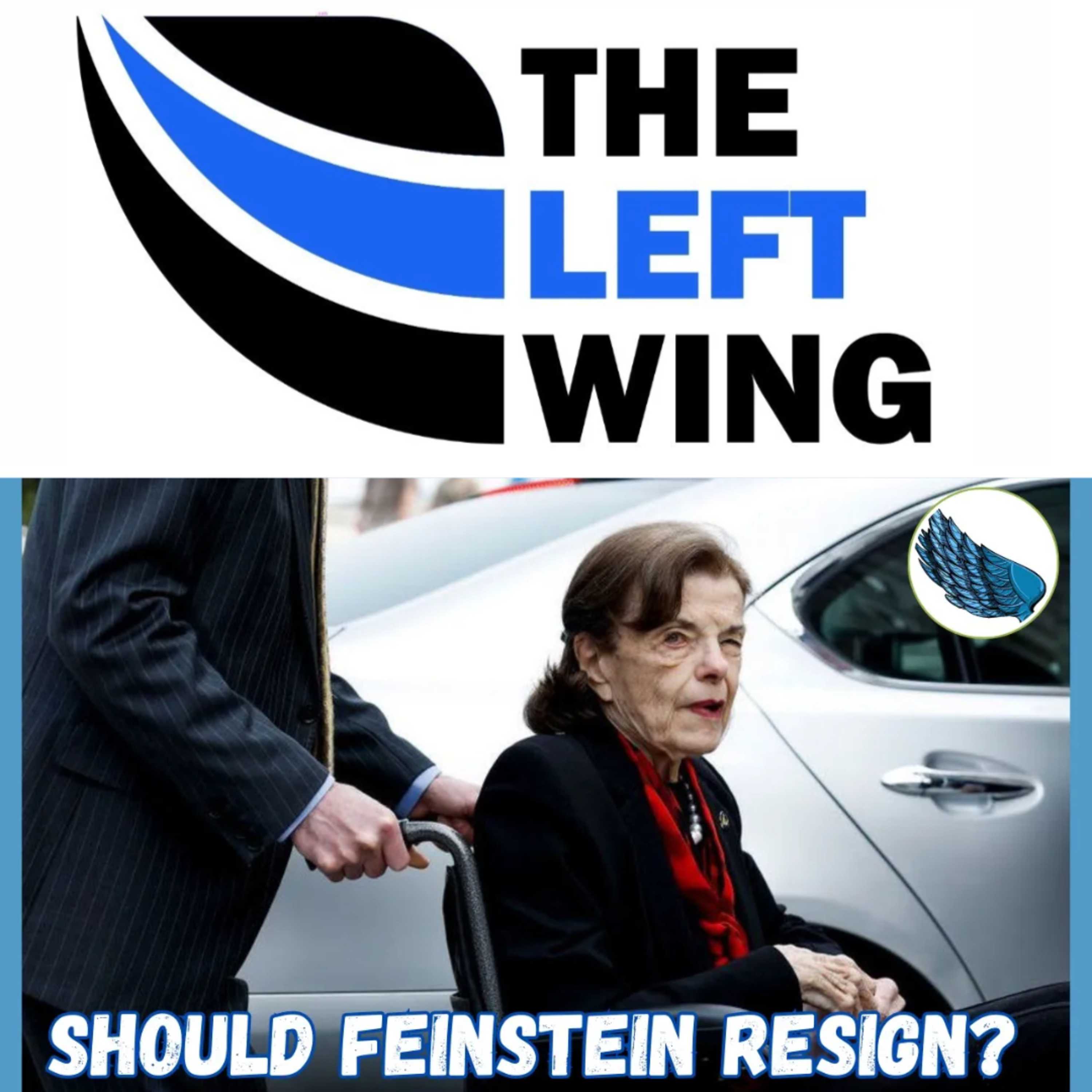 The Left Wing