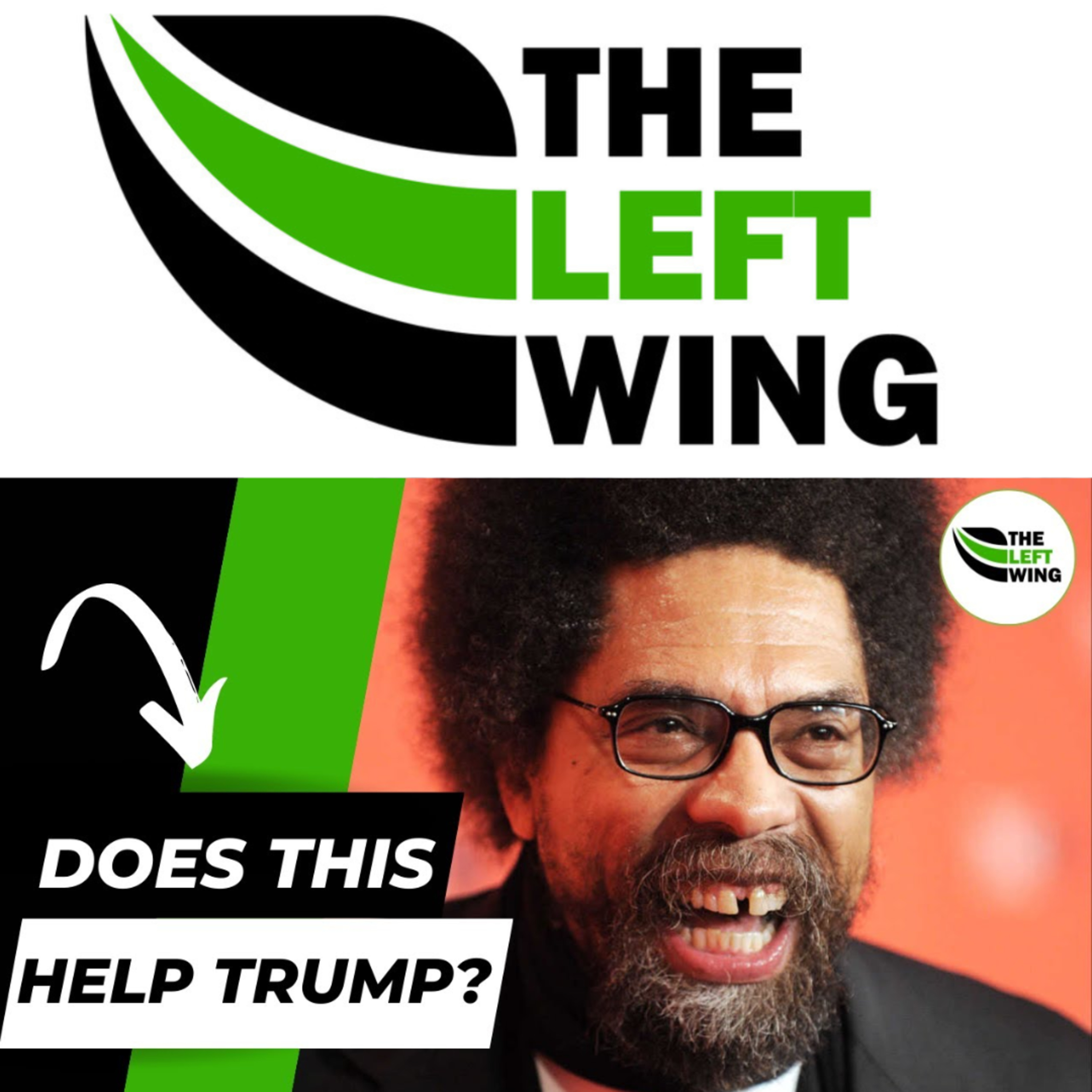 Should You Vote 3rd Party In The 2024 General Election? We DEBATE | The Left Wing 14.4 episode artwork