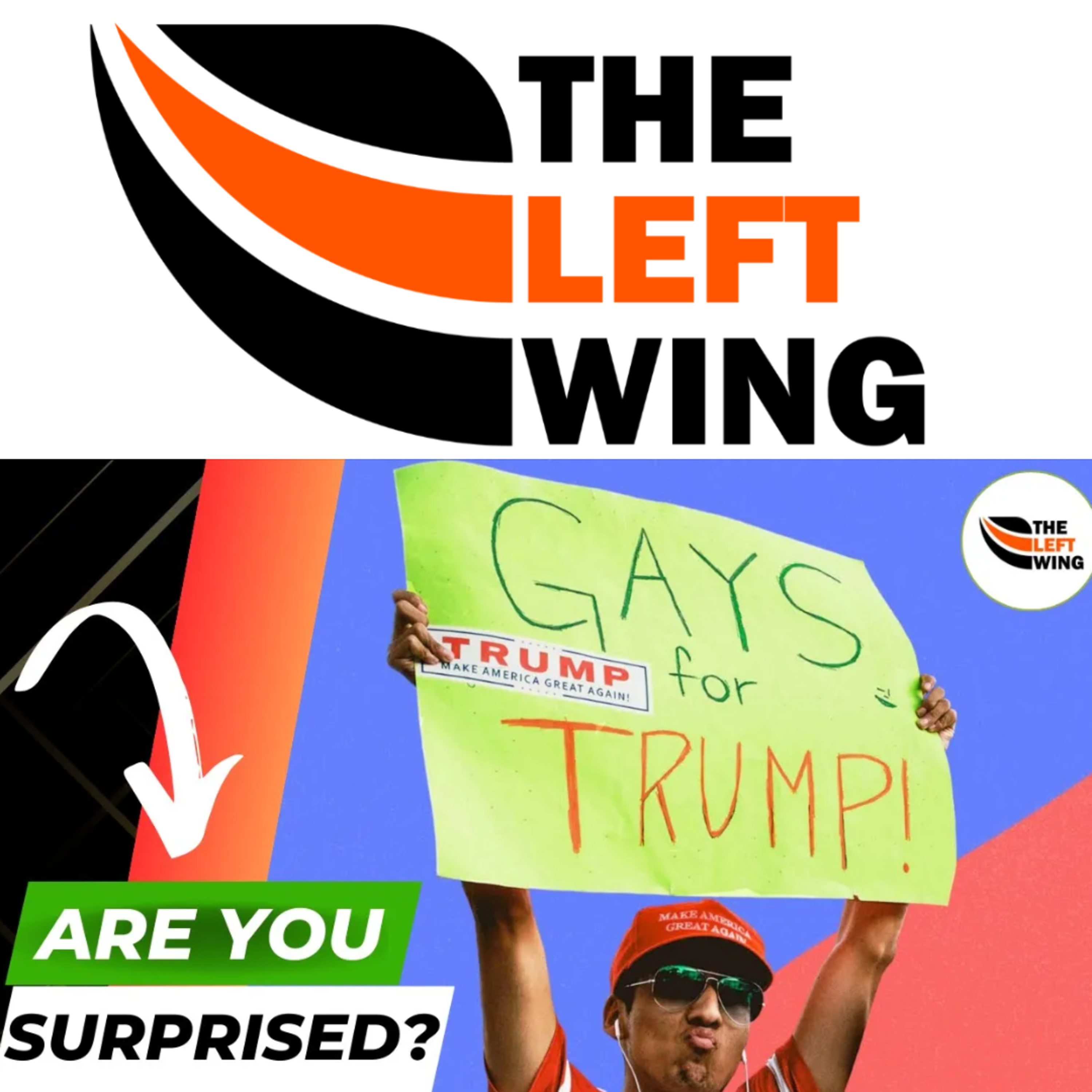 LGBTQ Republicans Banned By Texas GOP! Should They Be Surprised? | The Left Wing 19.3 episode artwork