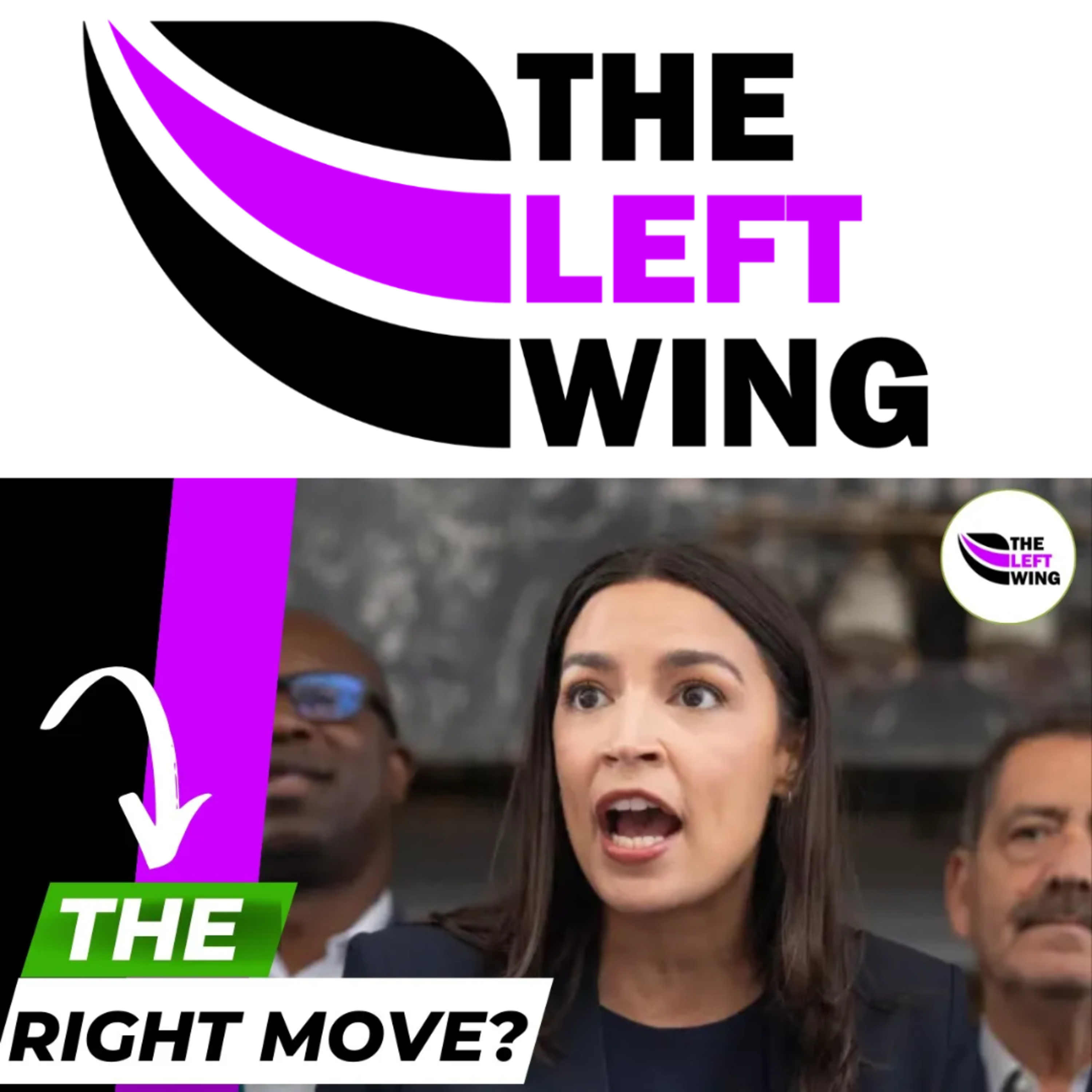 Should Americans Have Universal Healthcare? Should Progressives Force The Vote? | The Left Wing episode artwork