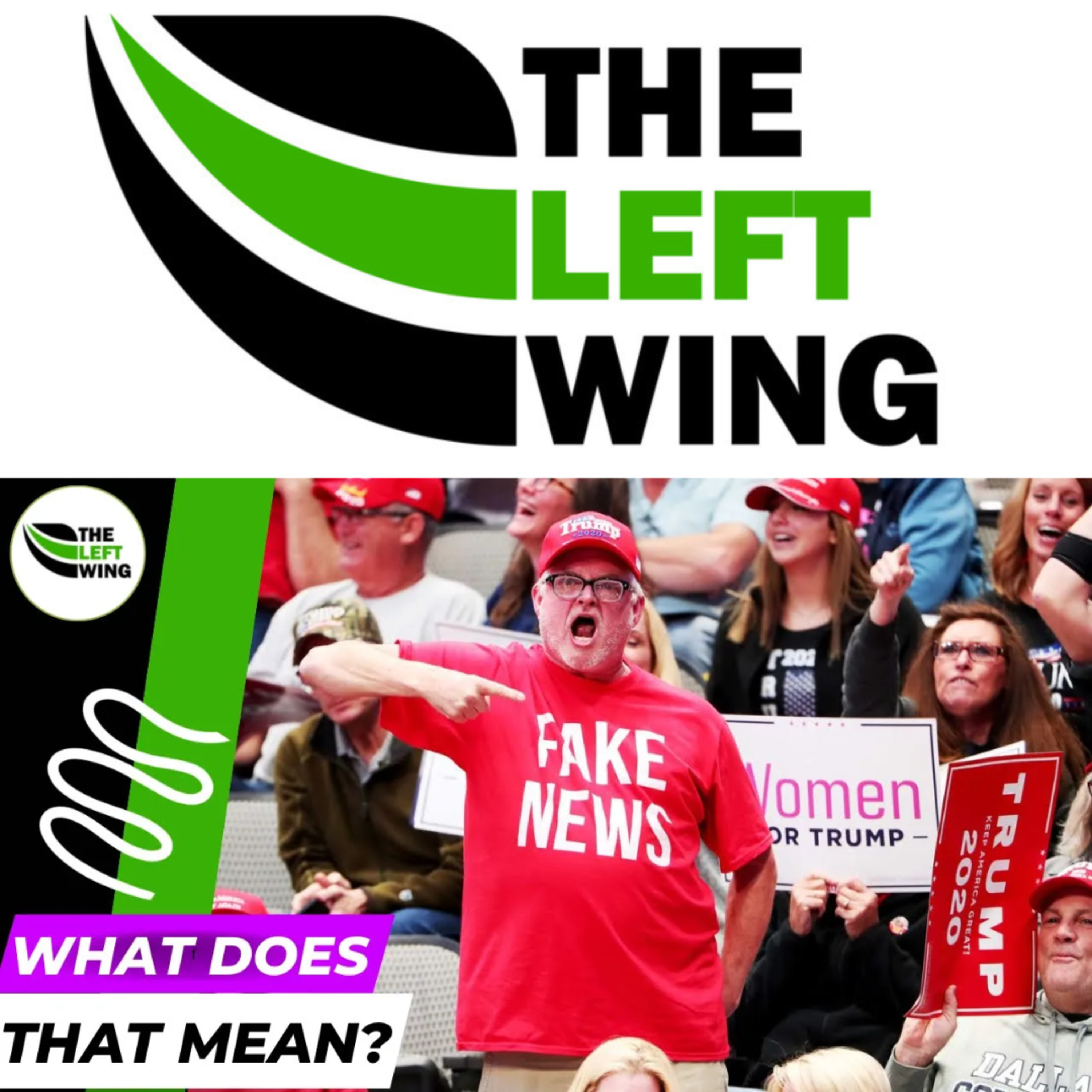 Are Trump Supporters In A Cult? Hillary Clinton Calls For New Action | The Left Wing episode artwork