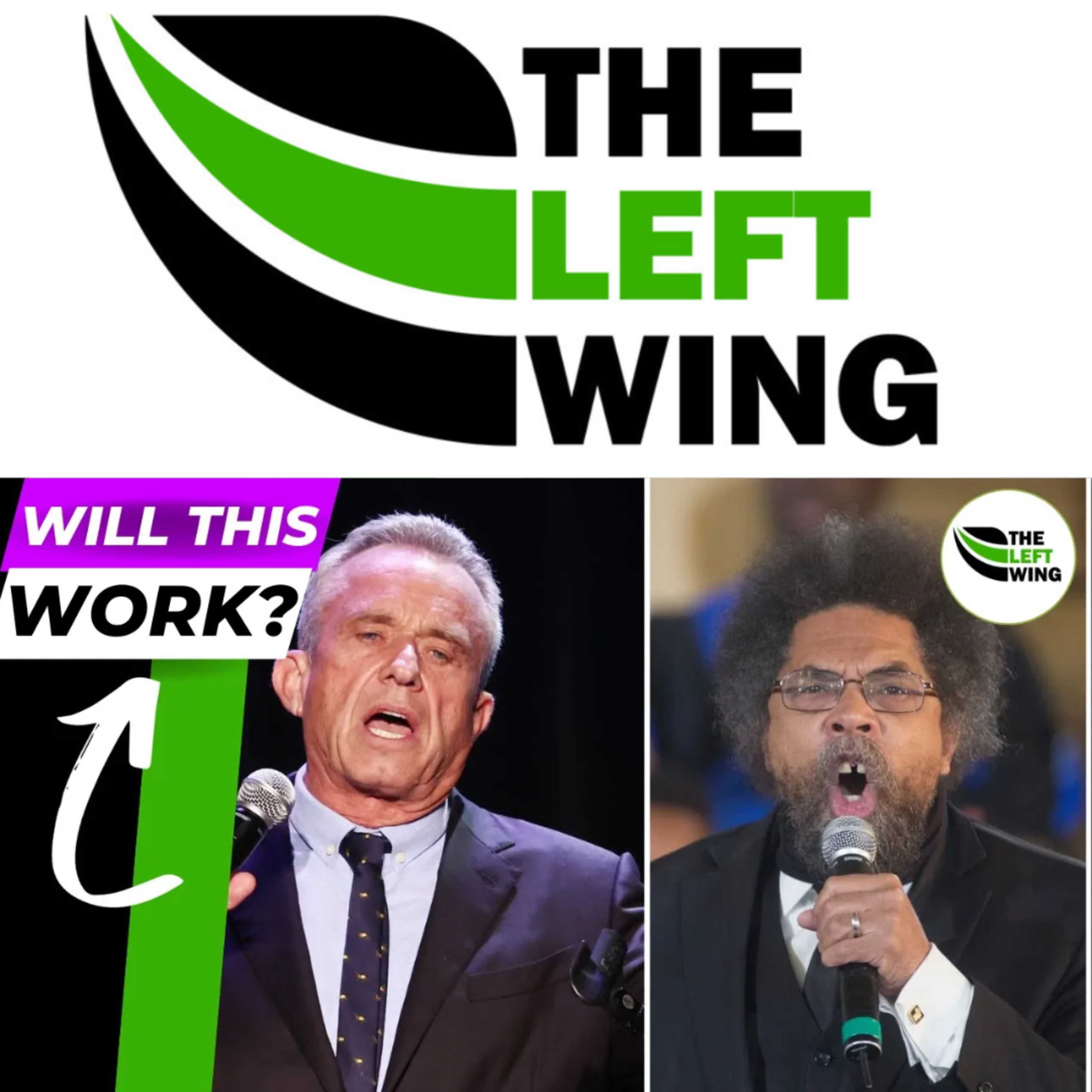 3rd Party Support Rises To 63 Percent In America. How Will This Impact 2024? | The Left Wing 24.5 episode artwork