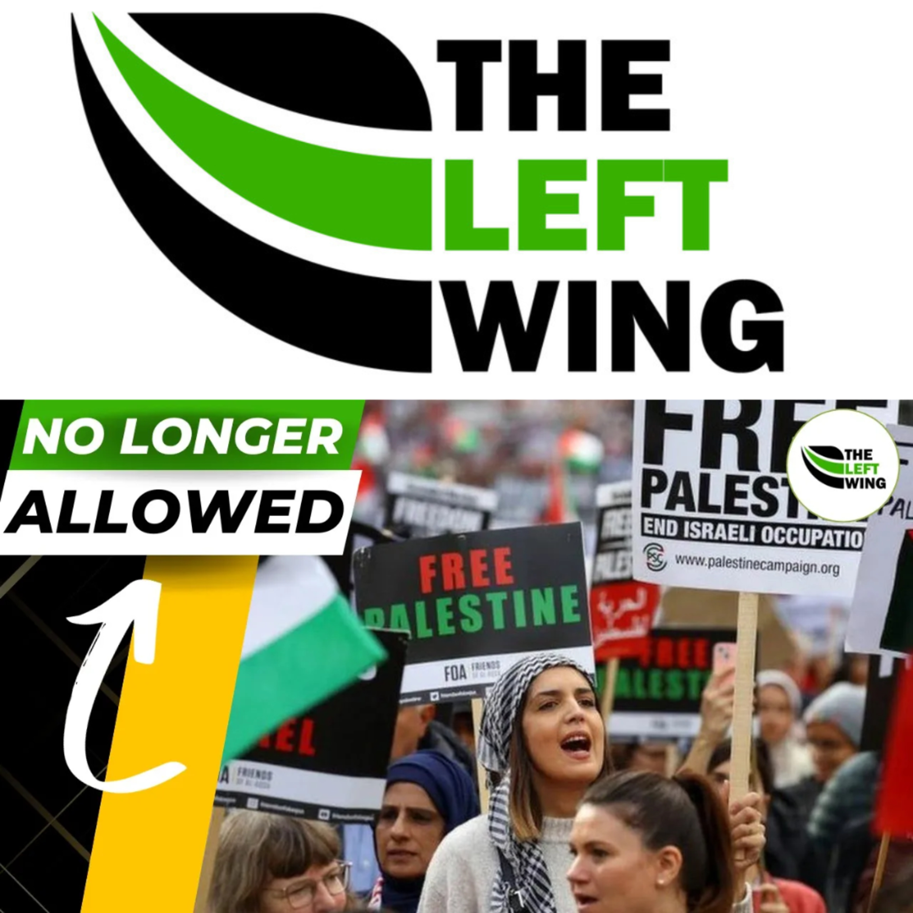 BANNING Protests? - France Moves To Ban Pro-Palestine Demonstrations | The Left Wing episode artwork