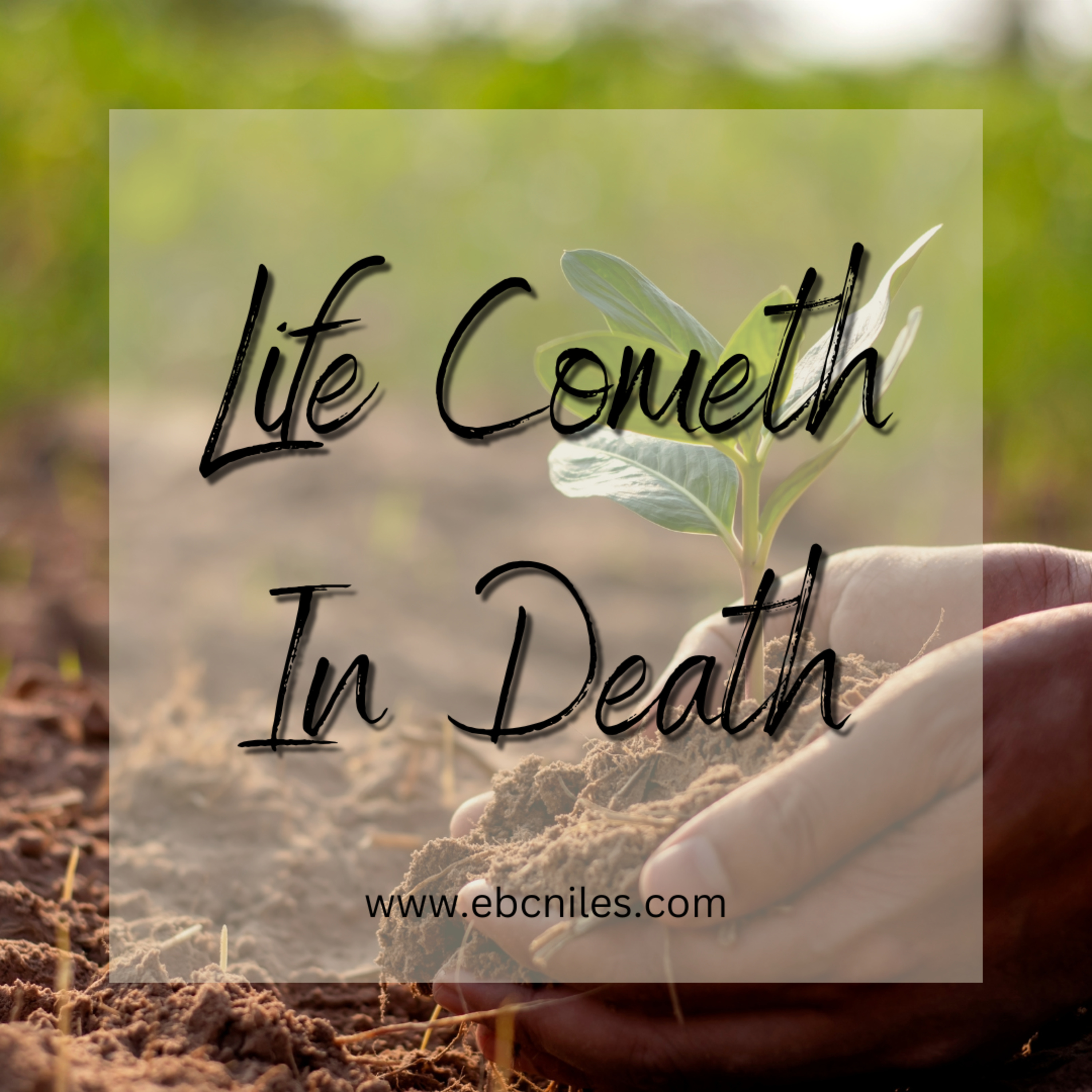Life Cometh In Death - Pastor Harris episode artwork