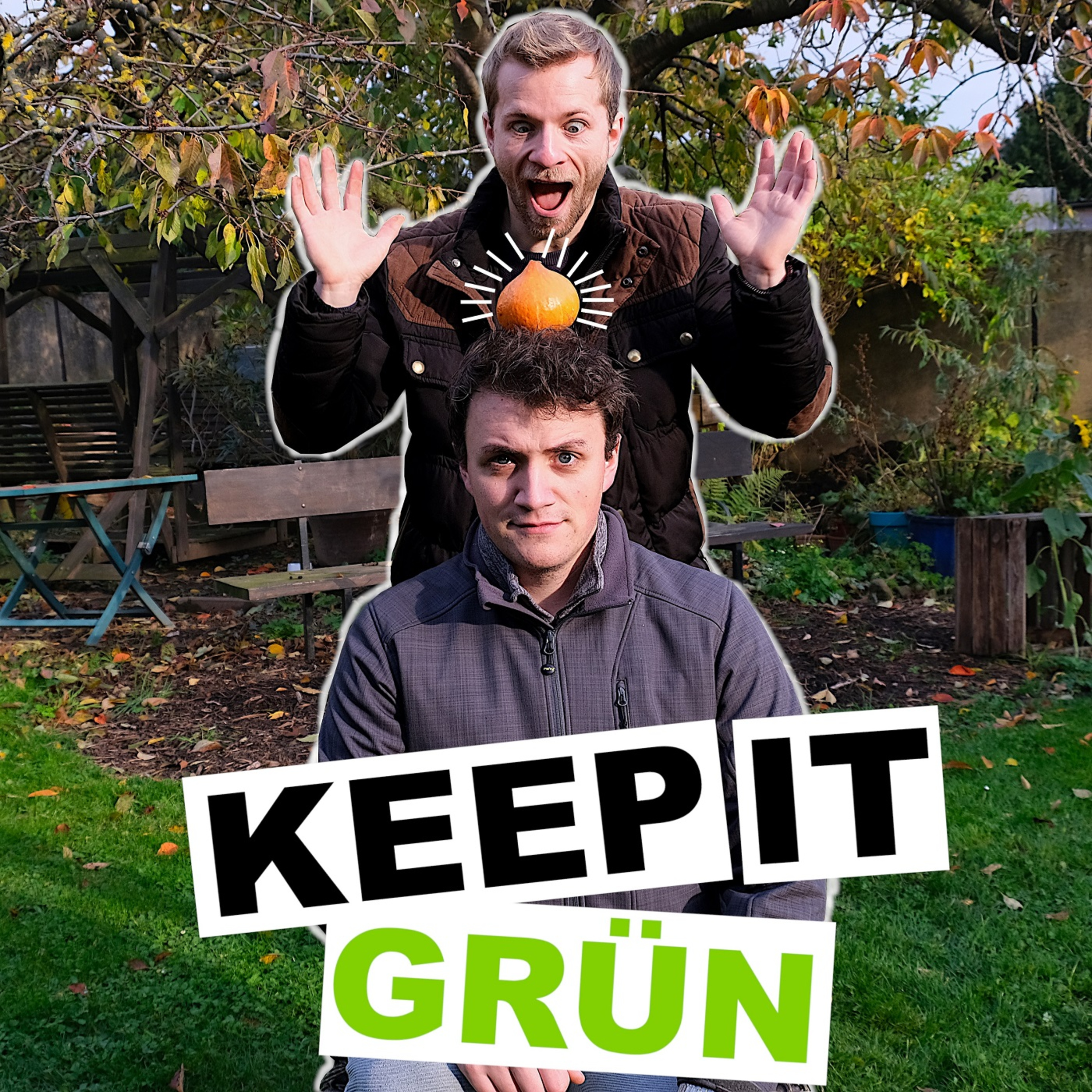 Klimapolitik der EU – „Es ist ein spannender Moment in der Geschichte“ episode artwork