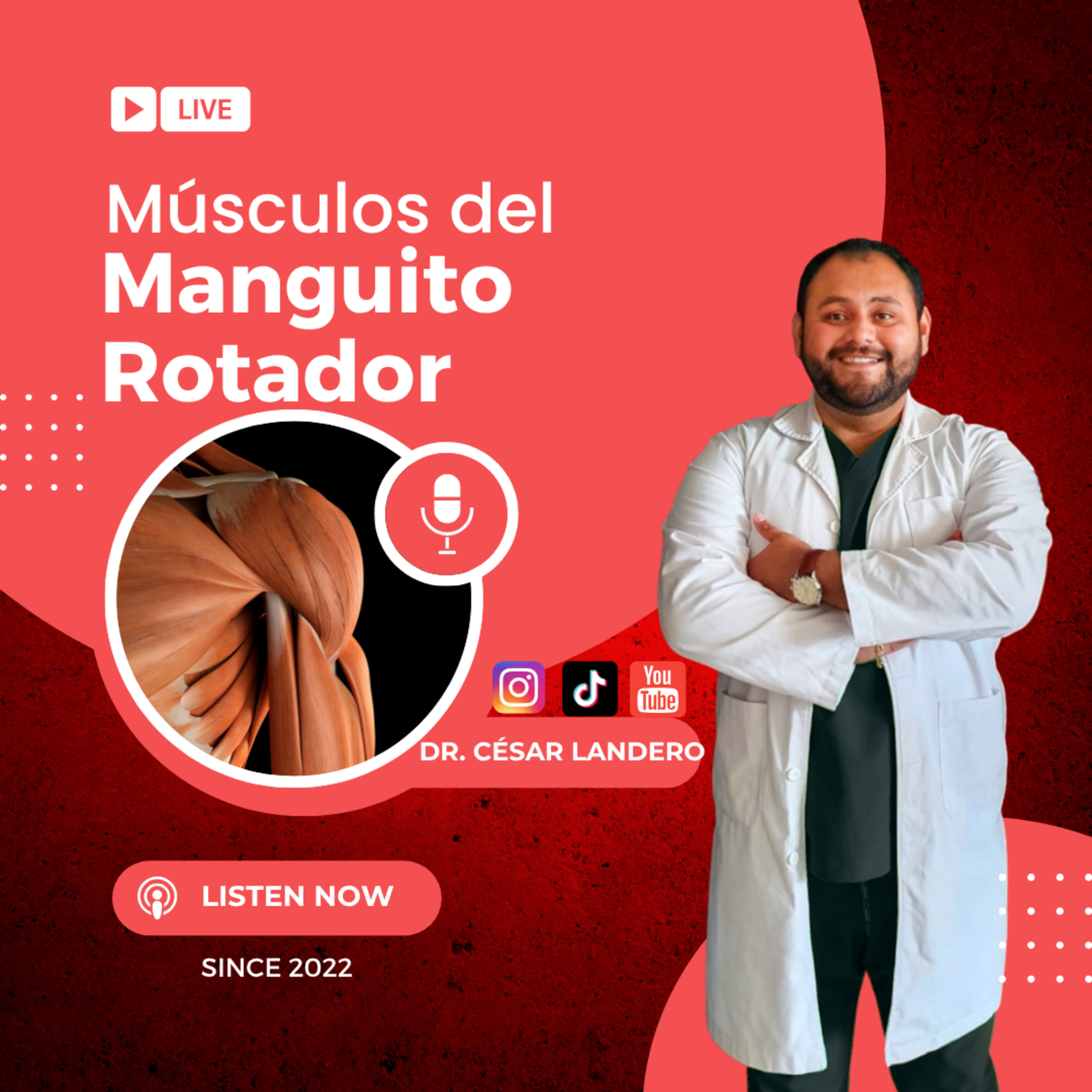 EP14T2 Músculos del Manguito Rotador episode artwork