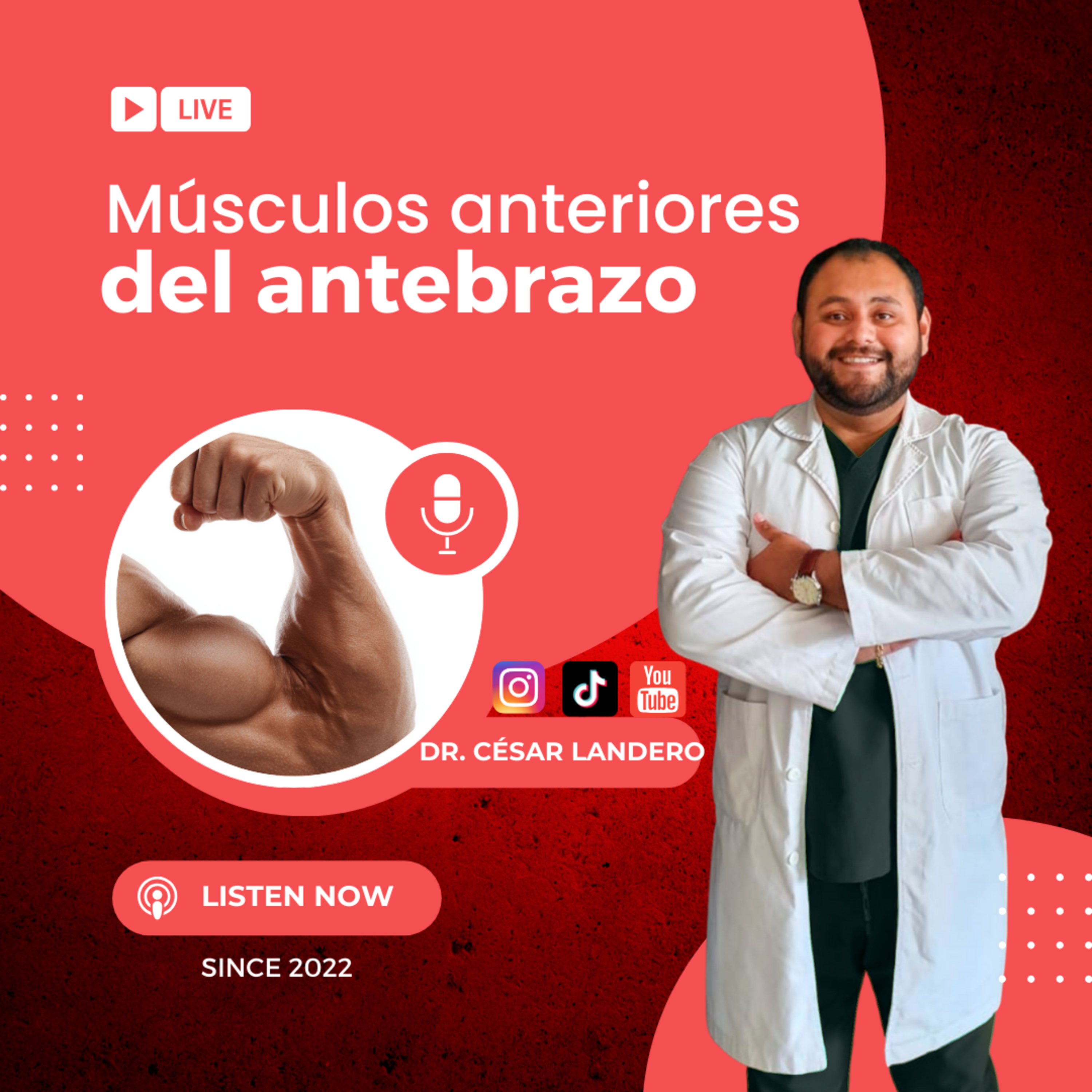 EP18T2 El rompecabezas del Antebrazo: Capas, Tendones y Flexores episode artwork