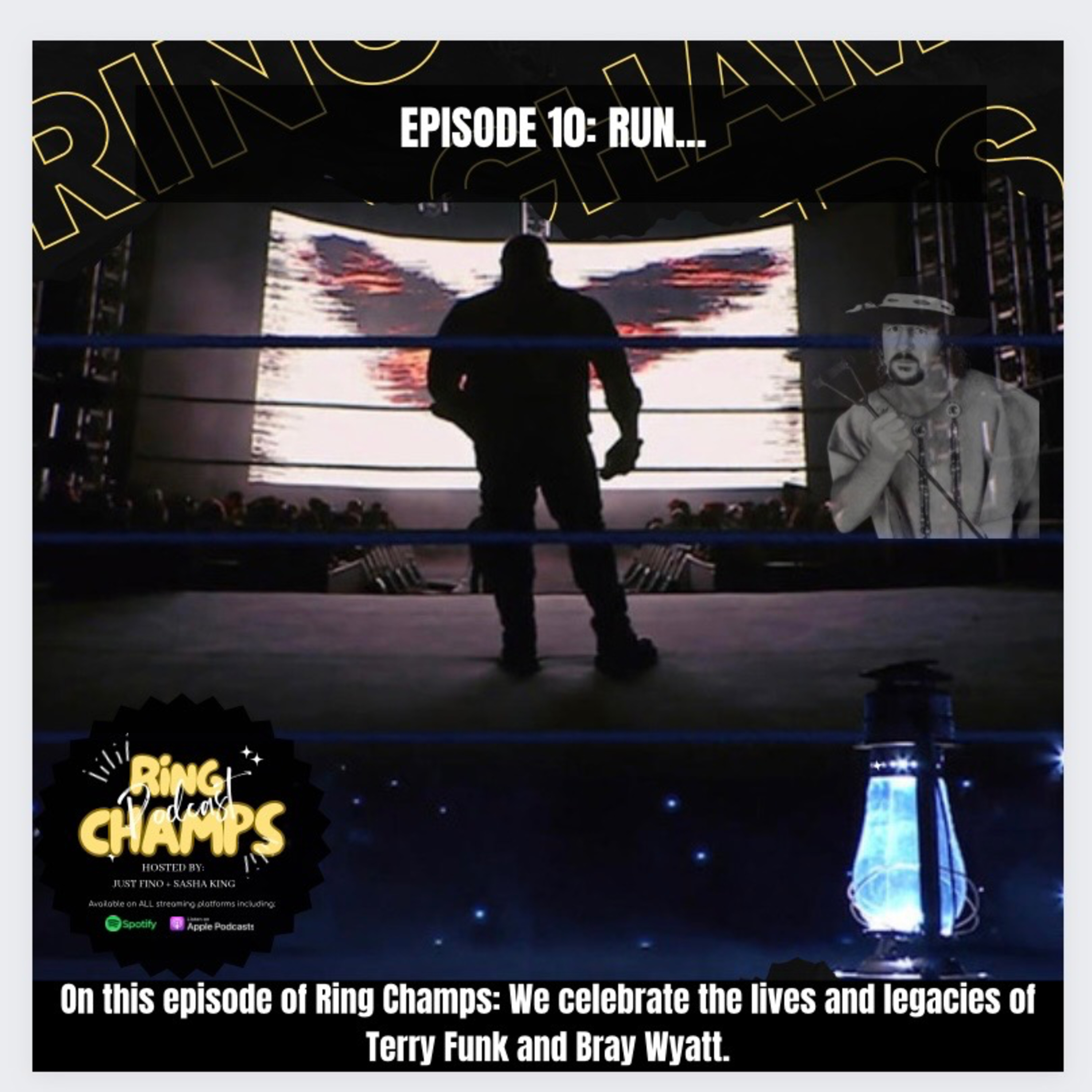 Episode 10 "...Run" episode artwork