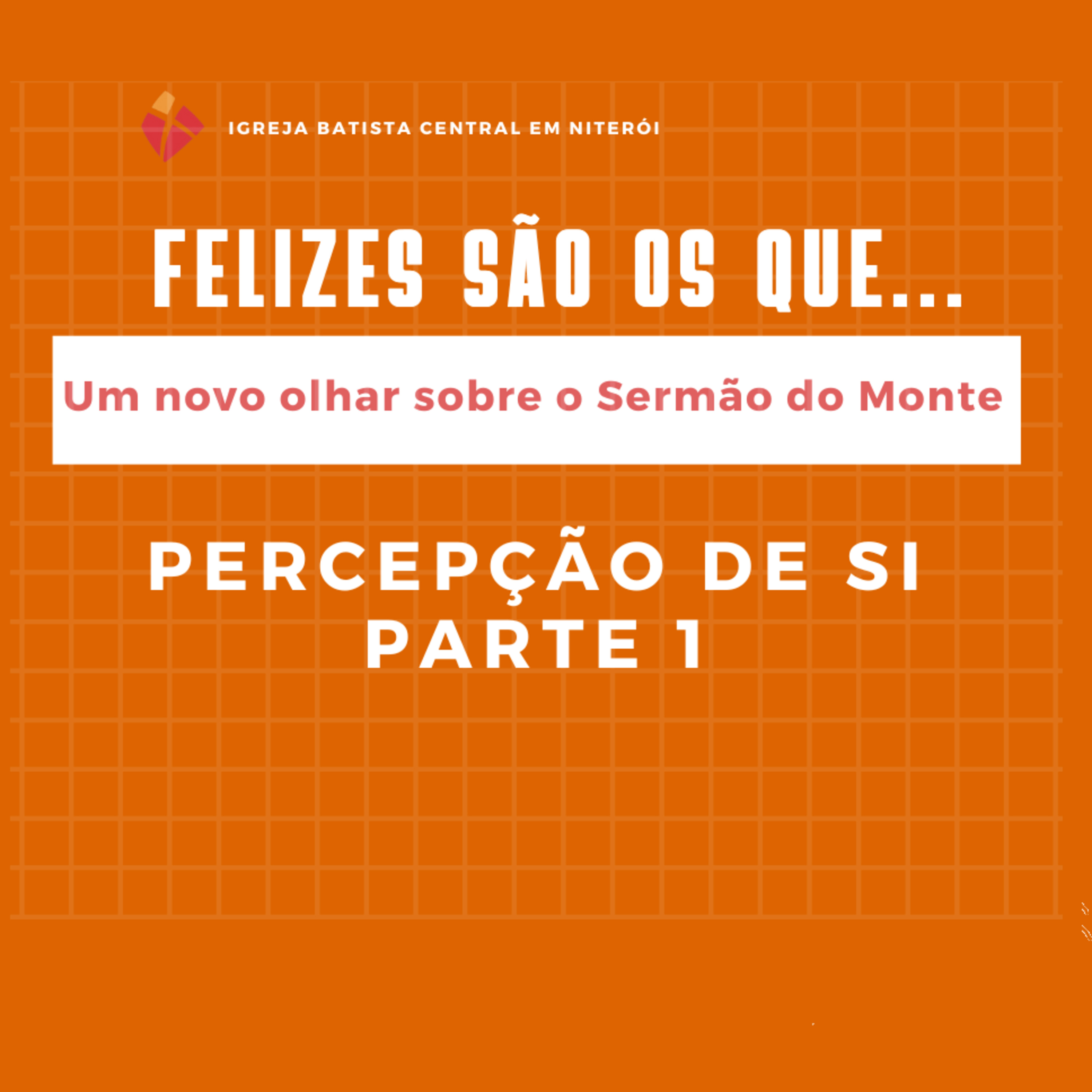  PERCEPÇÃO DE SI. 1a PARTE episode artwork