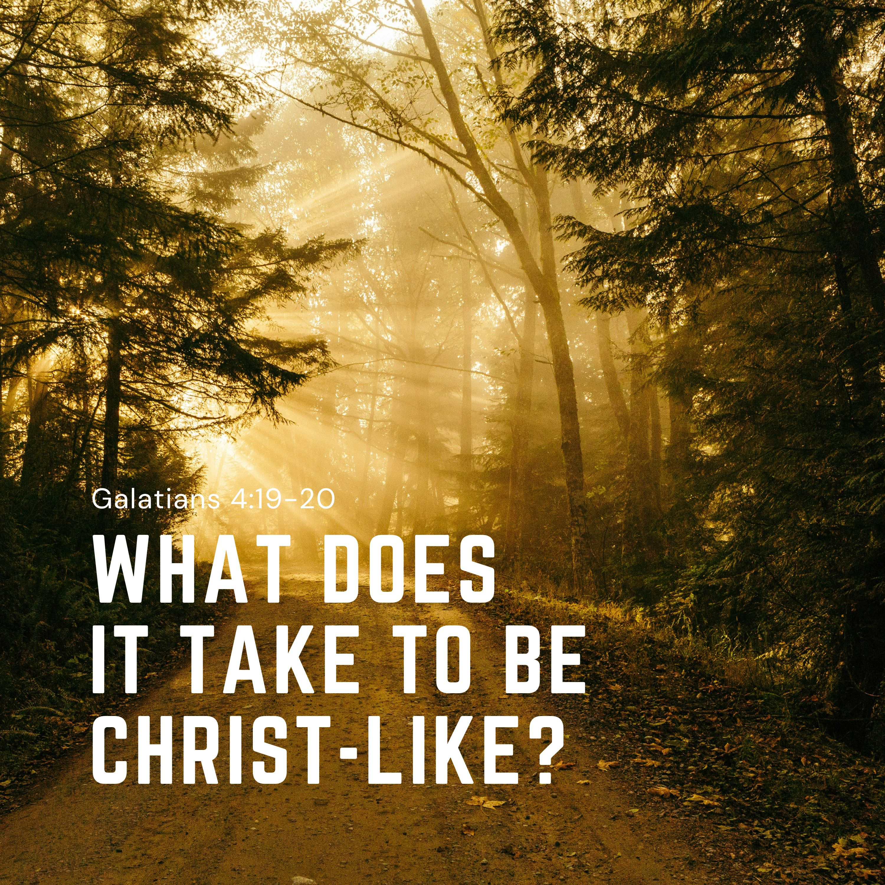 What Does It Take To Be Christ-like? / Galatians ⁠4:19⁠-20 episode artwork