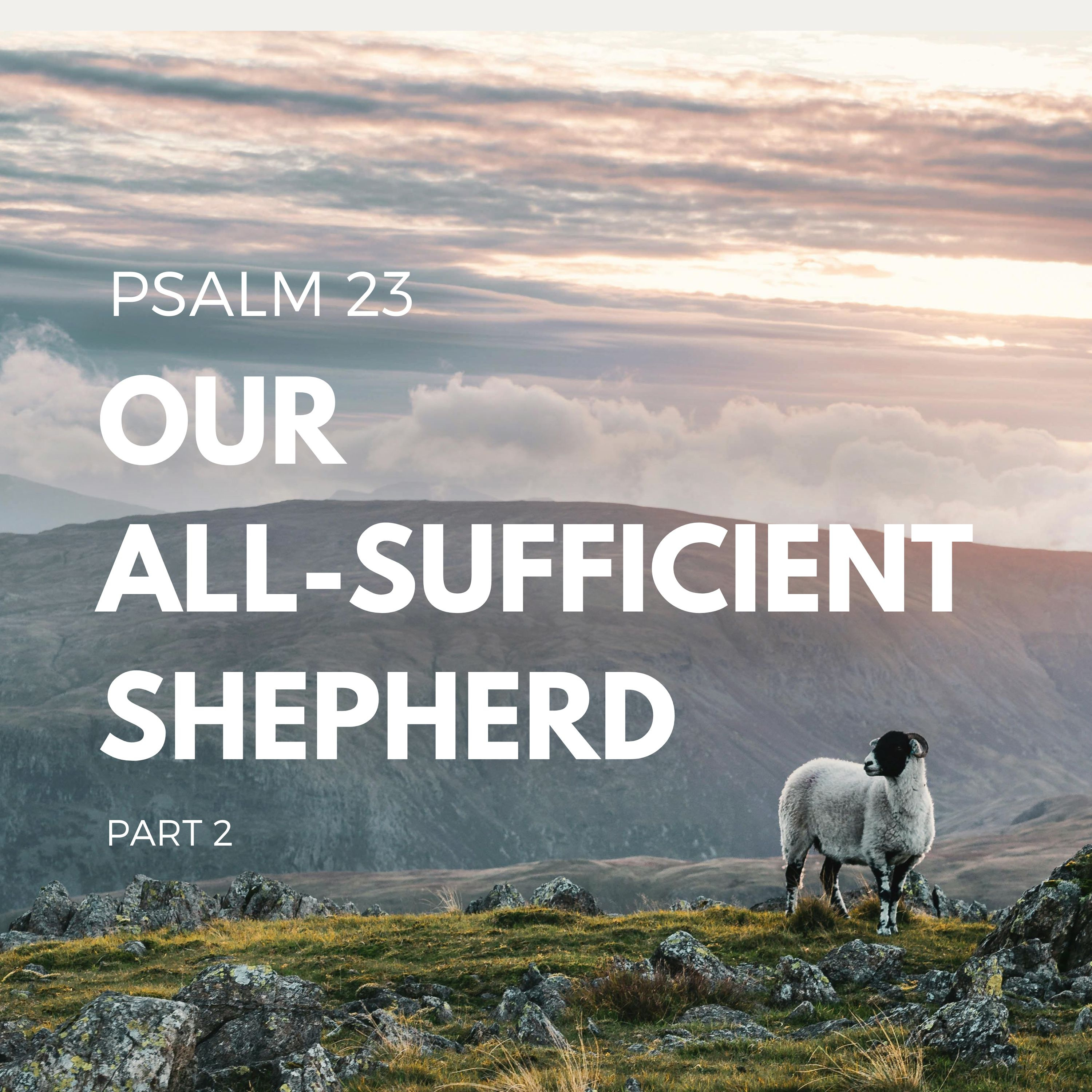 Our All-Sufficient Shepherd / Psalm 23 (Part 2) episode artwork