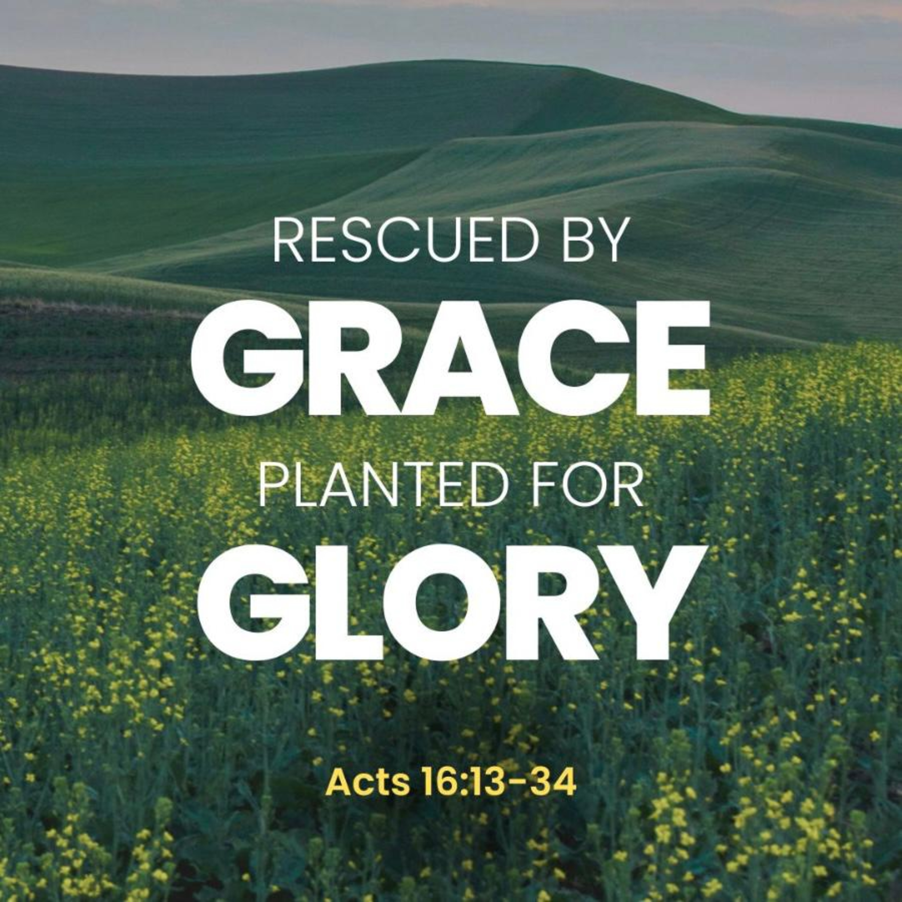  Rescued by Grace, Planted for Glory / Acts 16:13-34. episode artwork