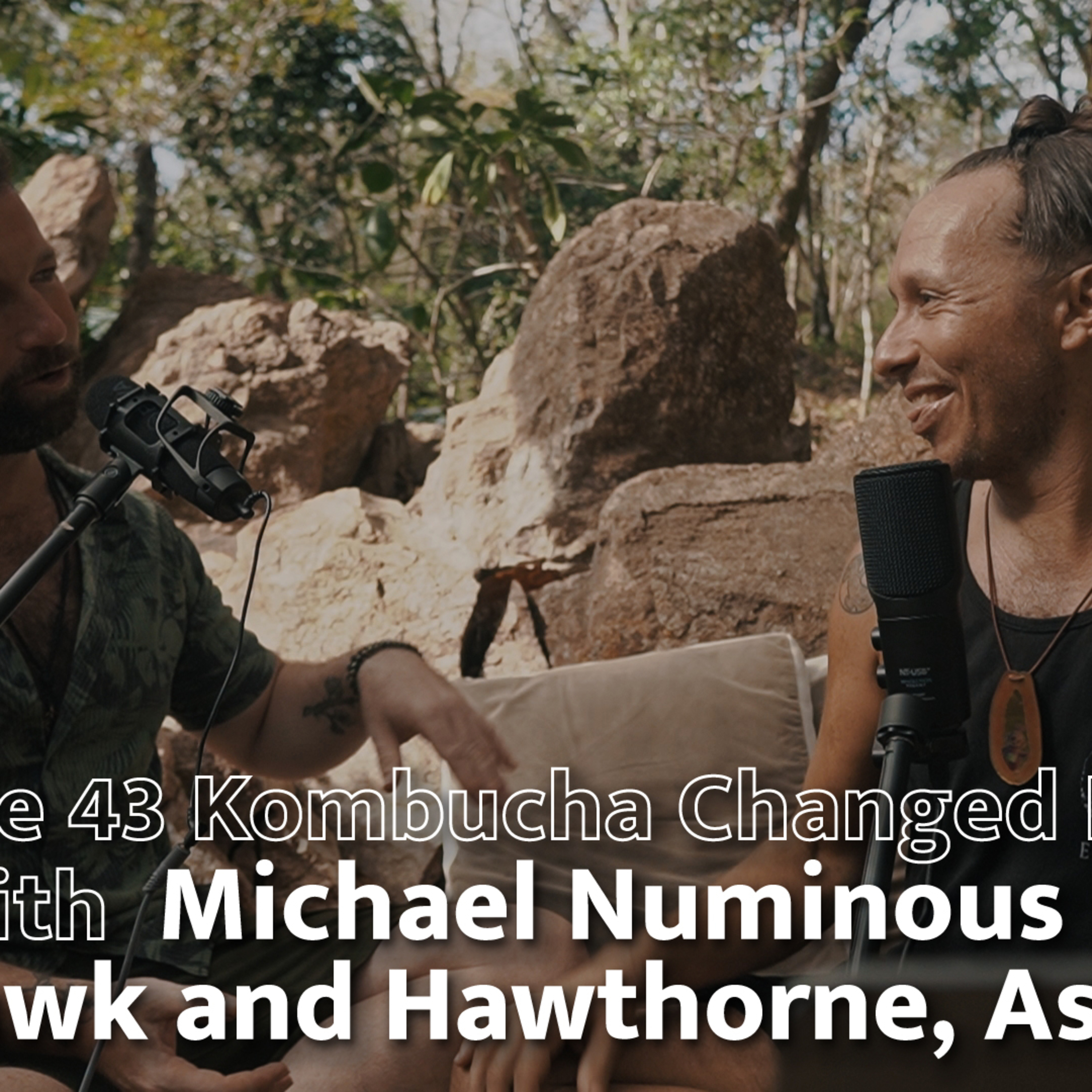 EP 43 How Kombucha Changed His Life, w/ Michael Numinous of The Hawk and Hawthorne, Asheville episode artwork
