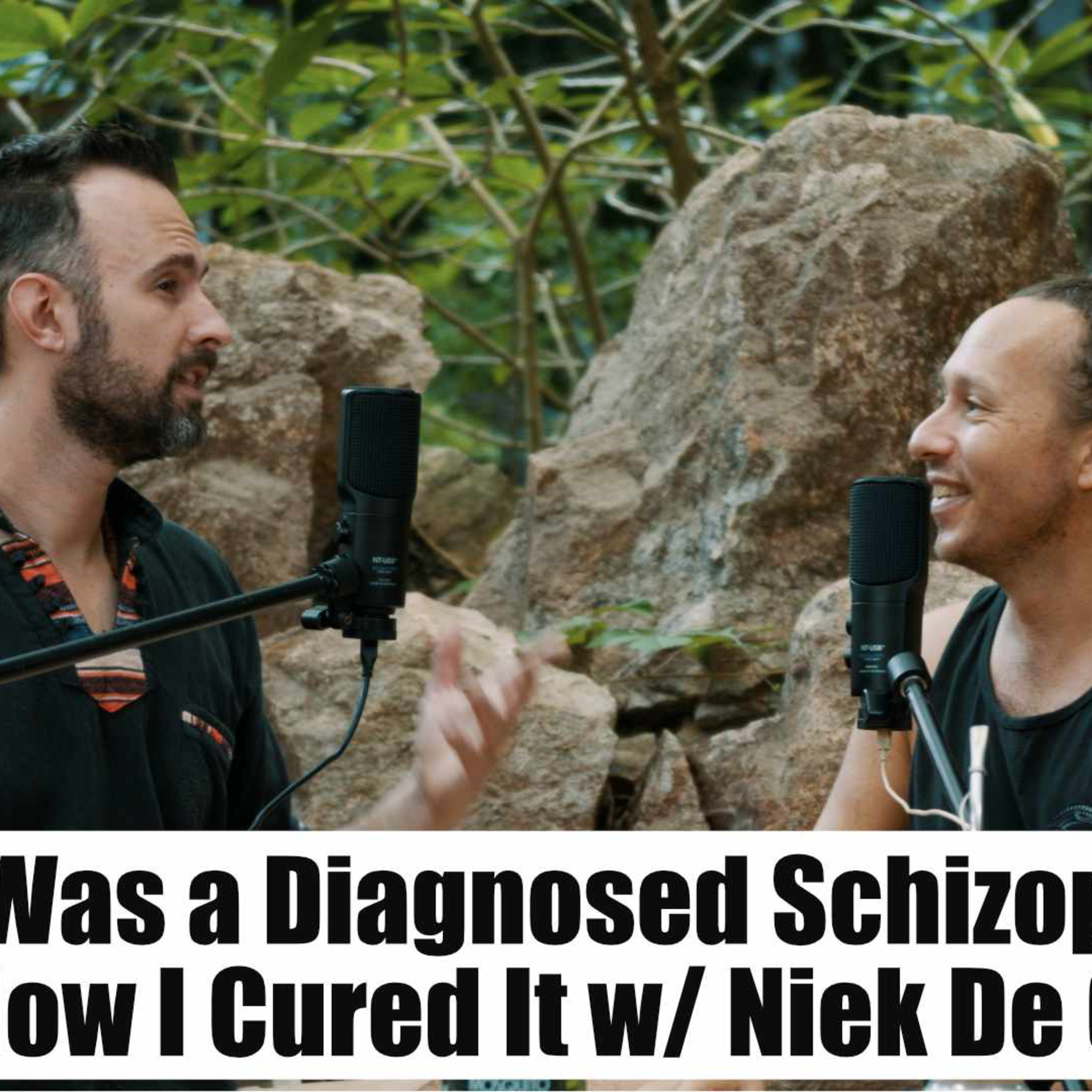 EP 64 I Was a Diagnosed Schizophrenic and How I Cured It w Niek De Graef