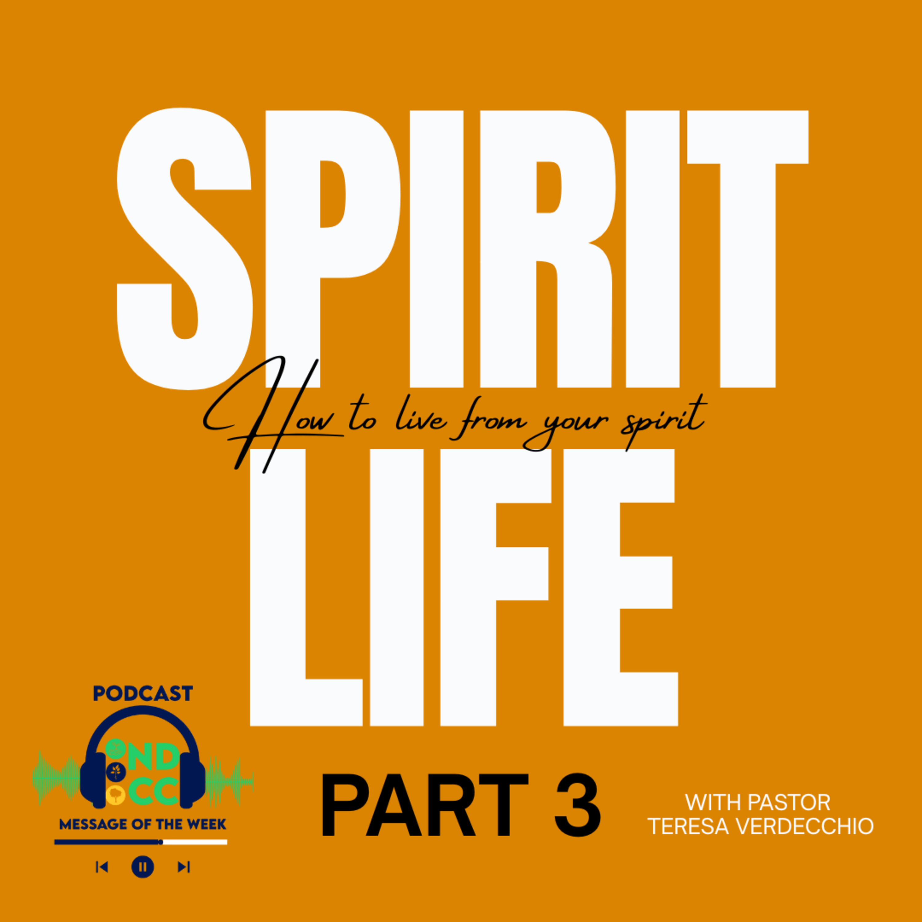"Spirit Life part 3." By Teresa Verdecchio episode artwork