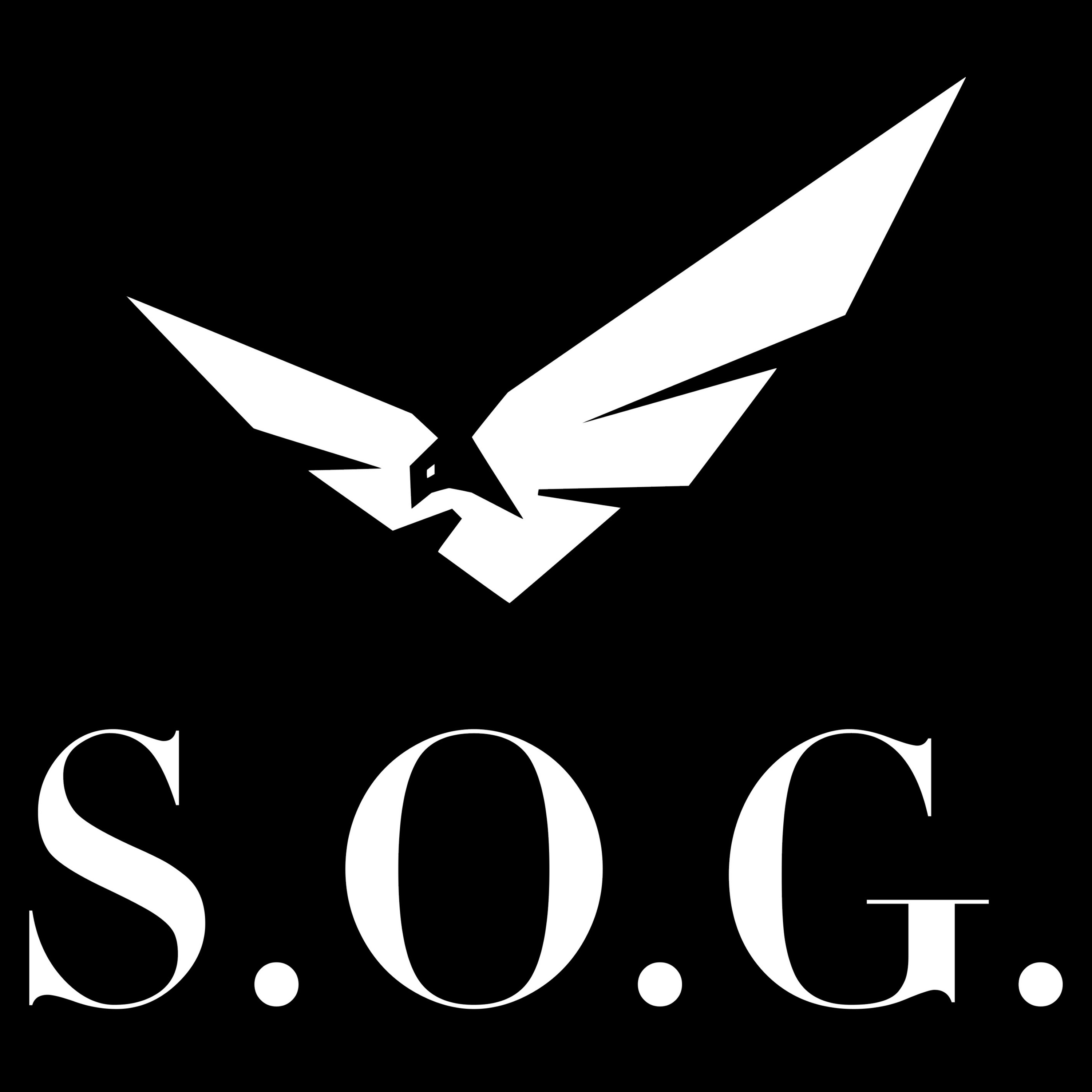 Selvoptimeringsgruppen - SOG