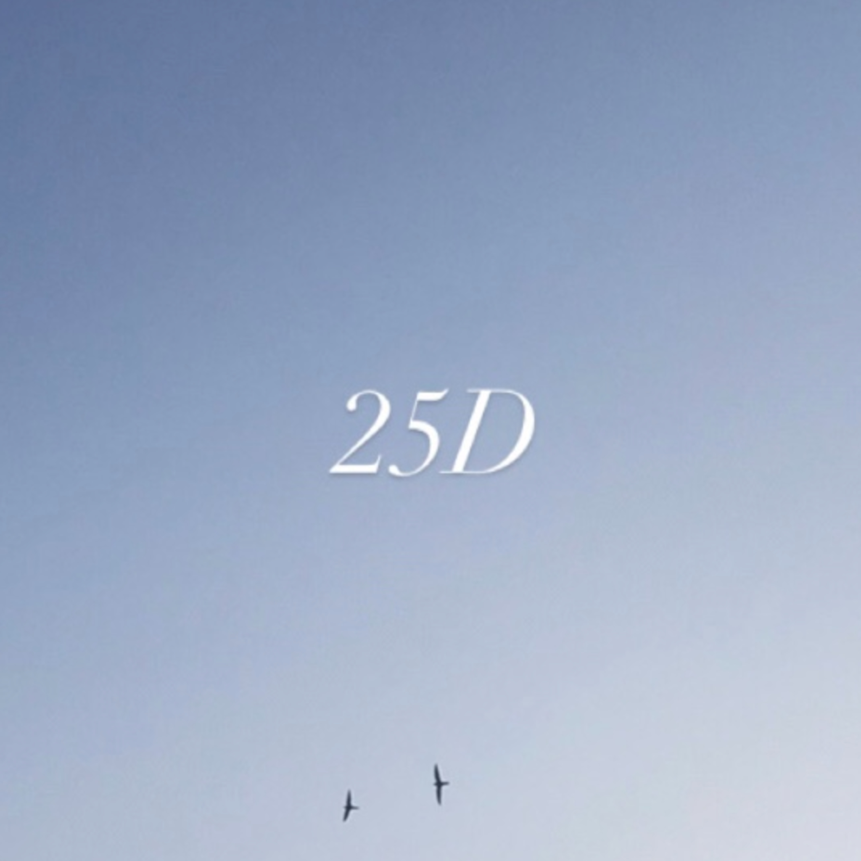 25D