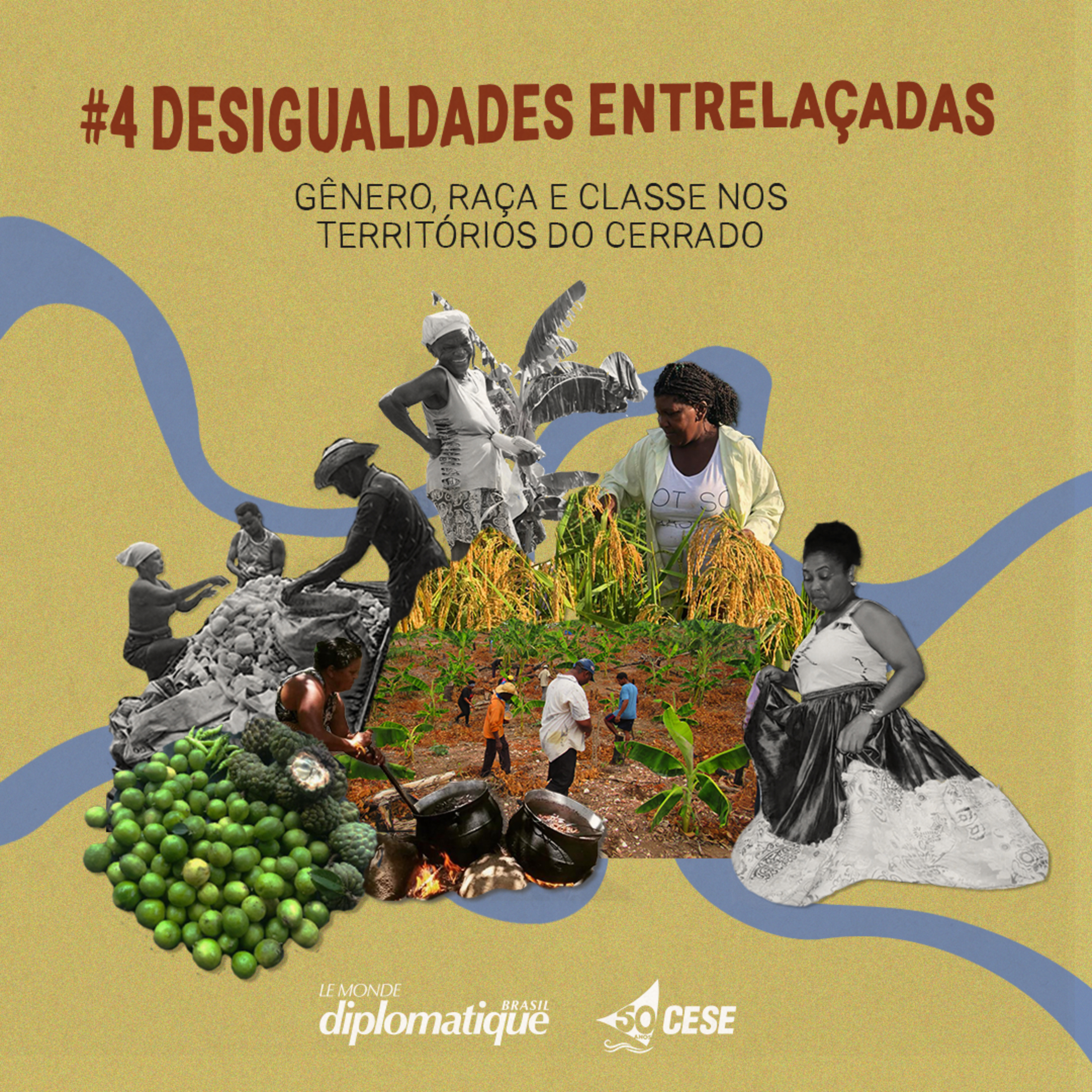 Território Vivo #4 | Desigualdades entrelaçadas: Gênero, Raça e Classe nos territórios do Cerrado episode artwork