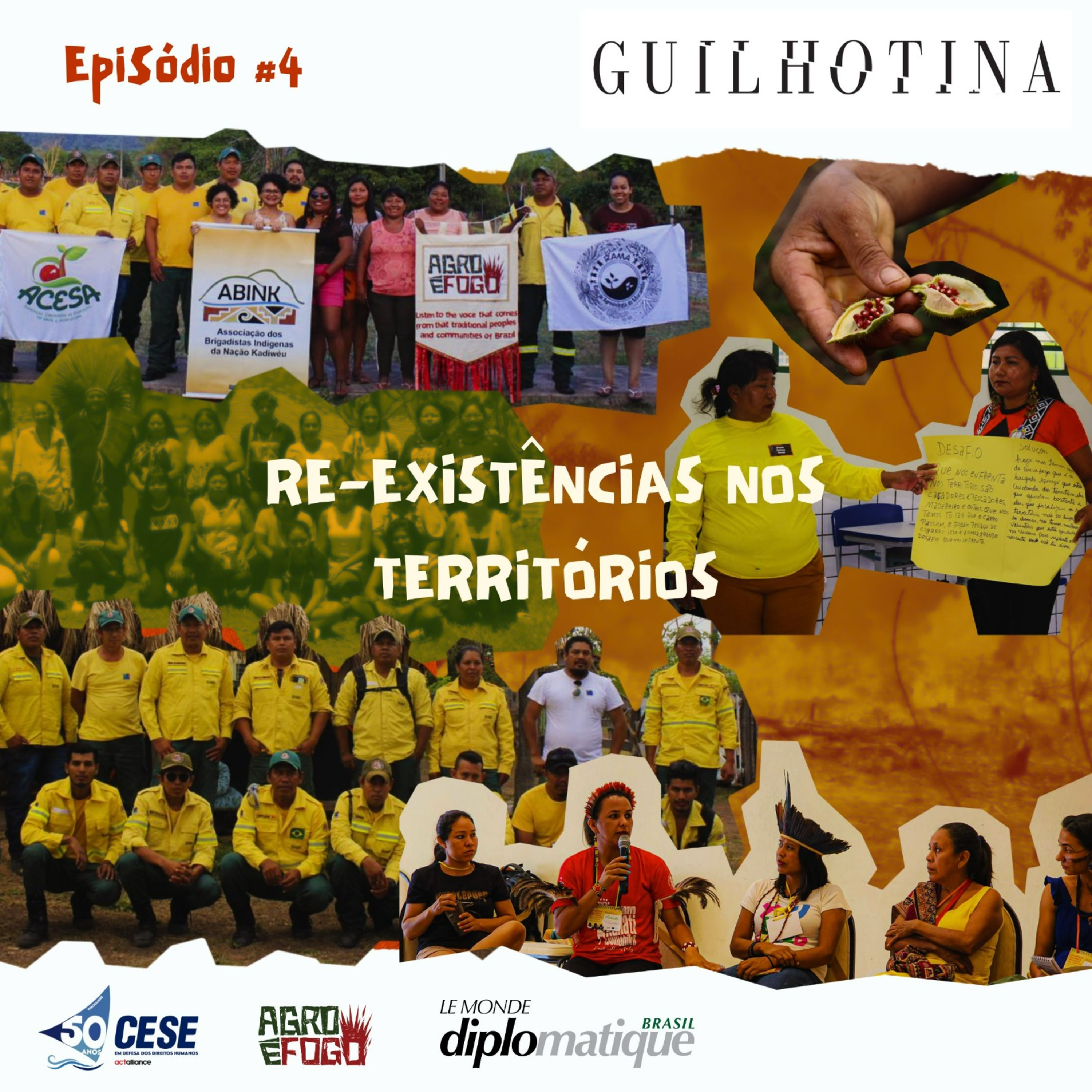 #Episódio 4 | No rastro do fogo: agronegócio e a destruição do Cerrado episode artwork