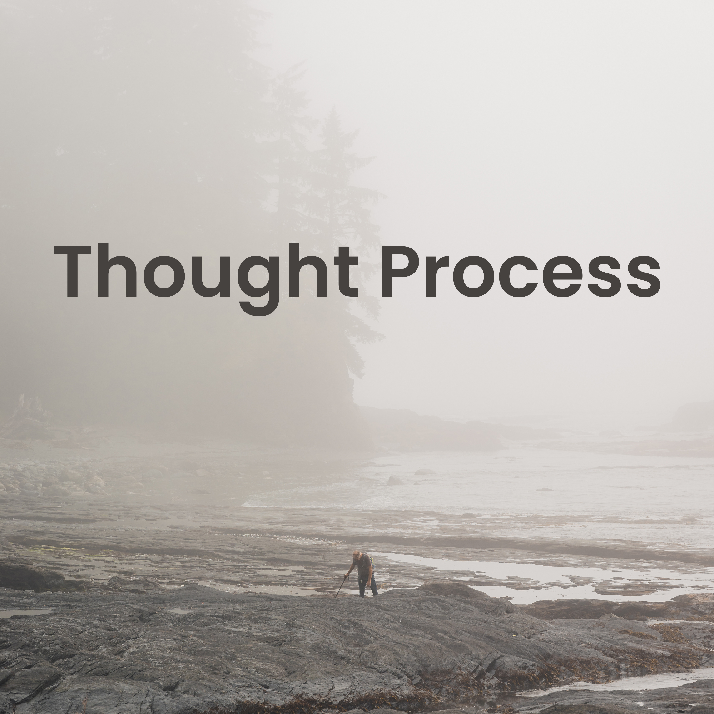 Thought Process