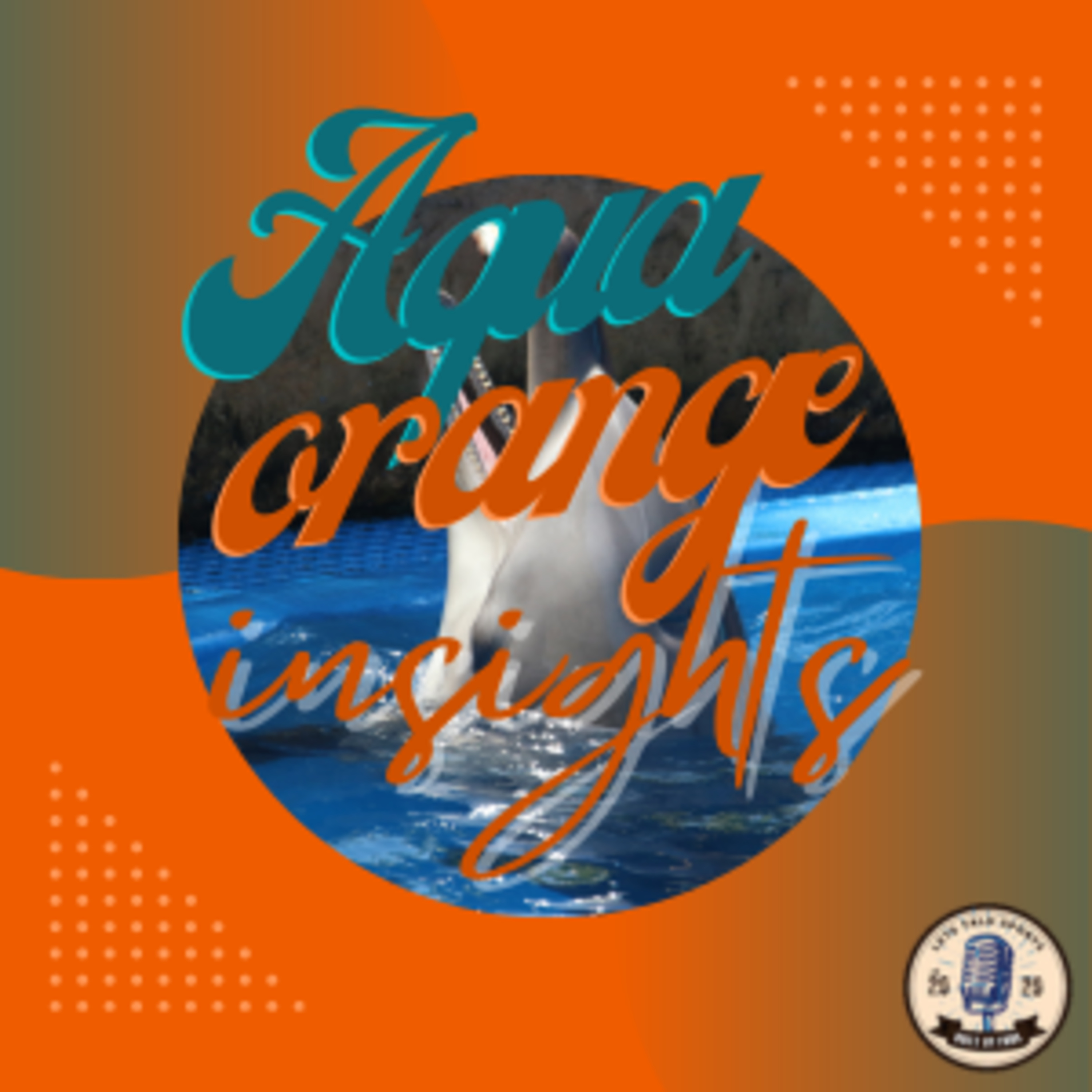 Aqua & Orange Insights: Let's Talk Miami Dolphins episode artwork