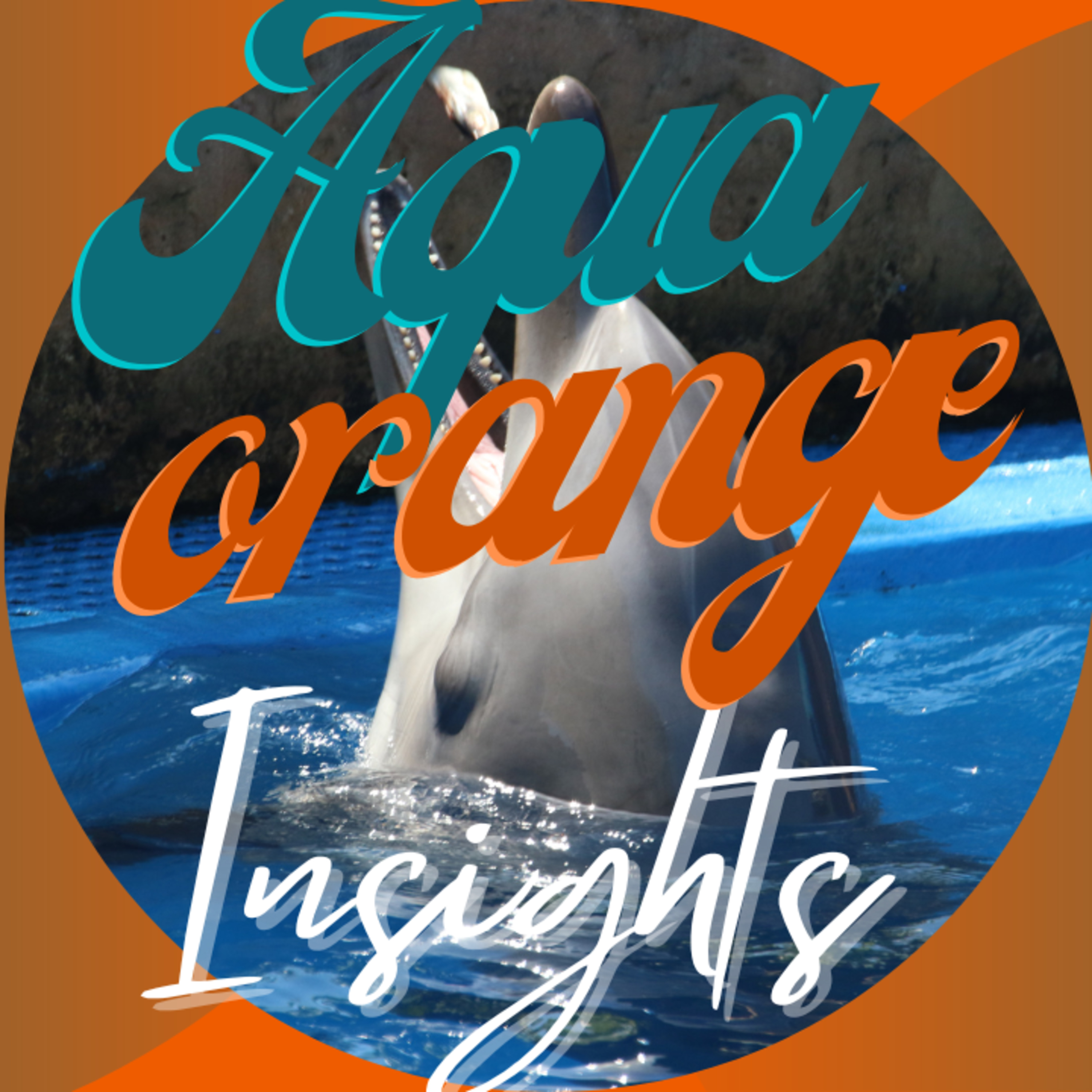  Aqua & Orange Insights: Let's Talk Miami Dolphins episode artwork