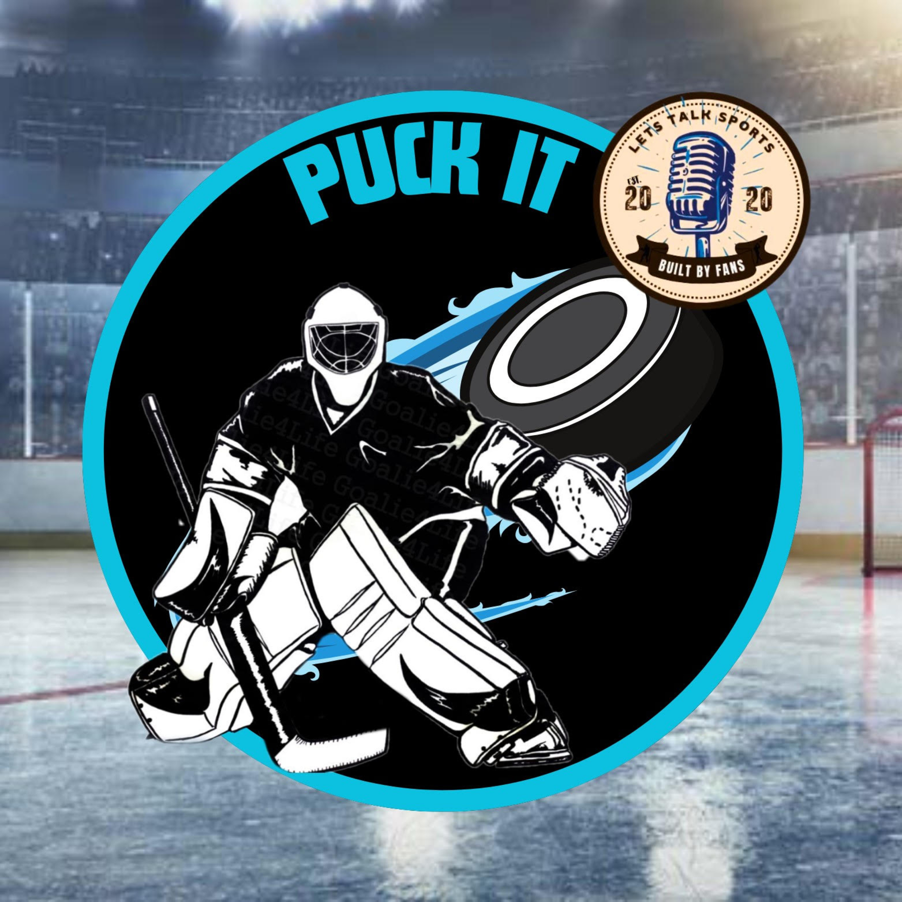  PUCK IT!  episode artwork