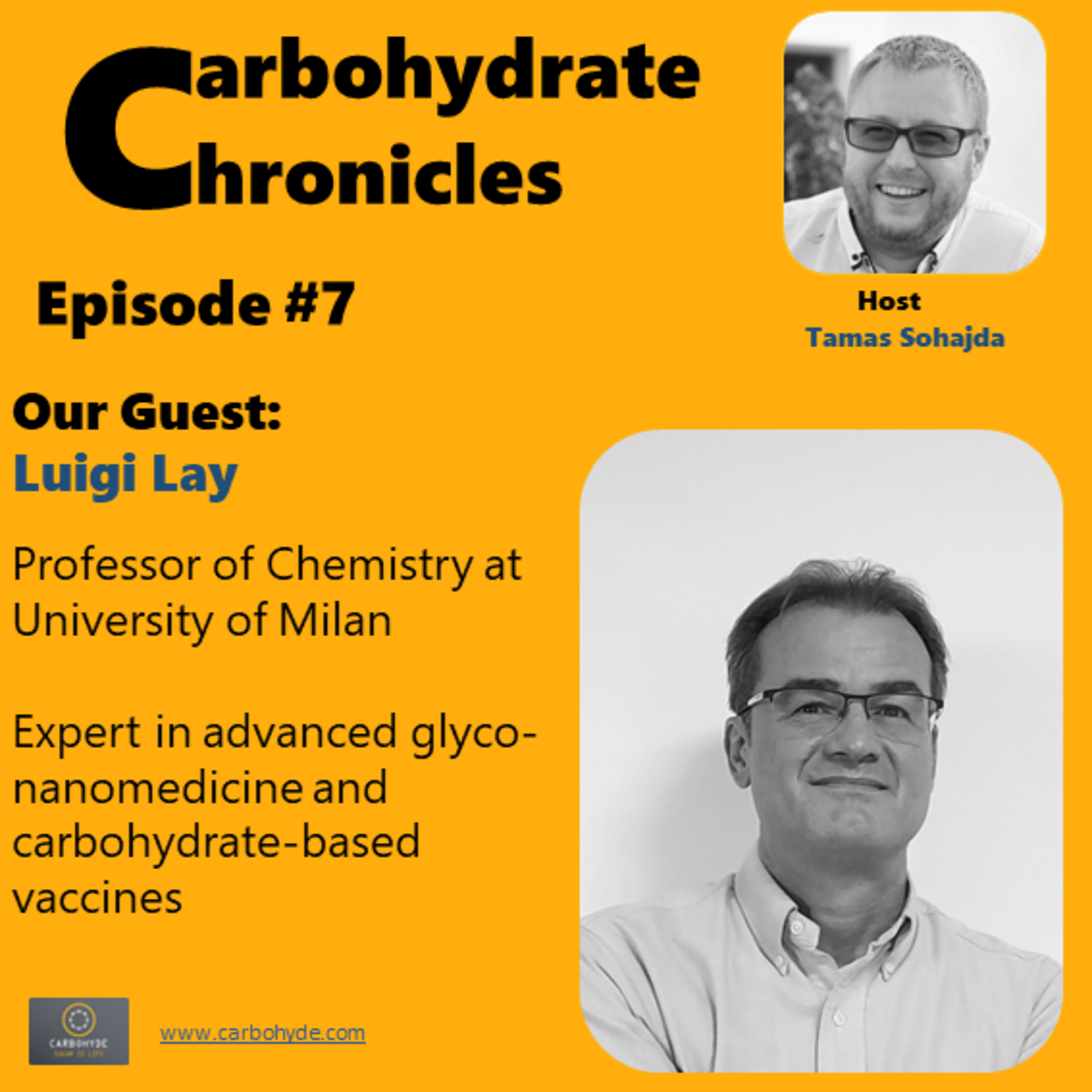 CarboHydrate Chronicles - Luigi Lay