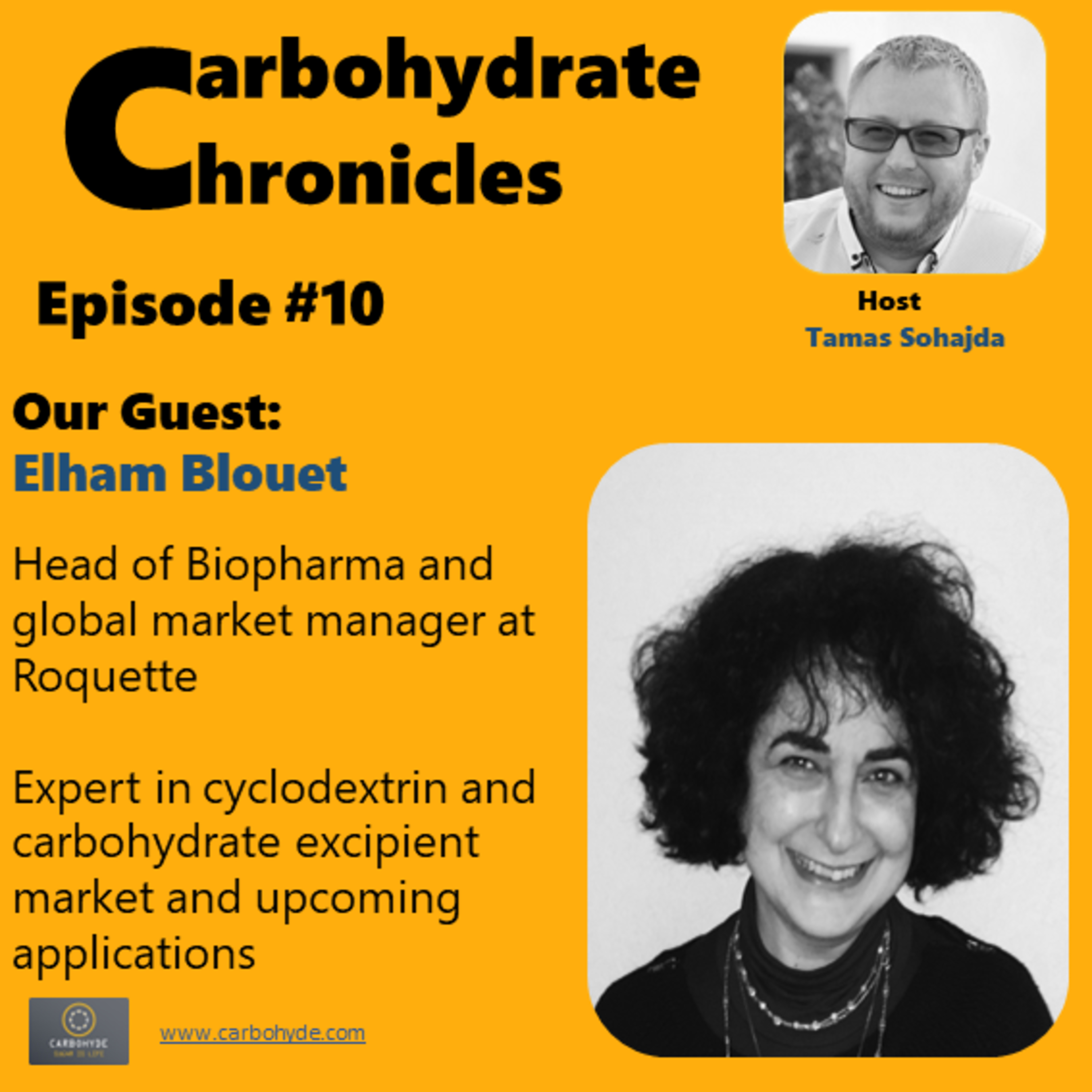 CarboHydrate Chronicles - Elham Blouet