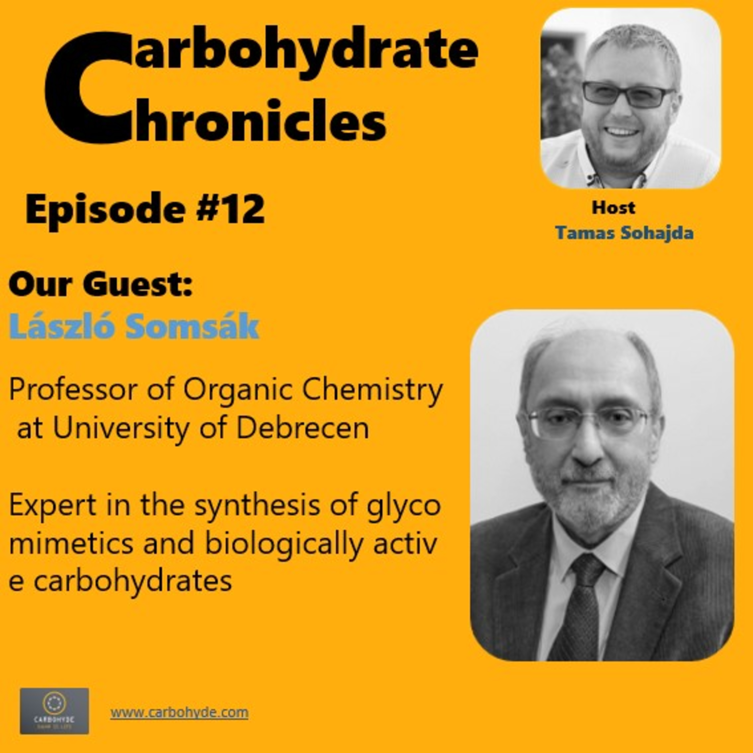 CarboHydrate Chronicles - László Somsák
